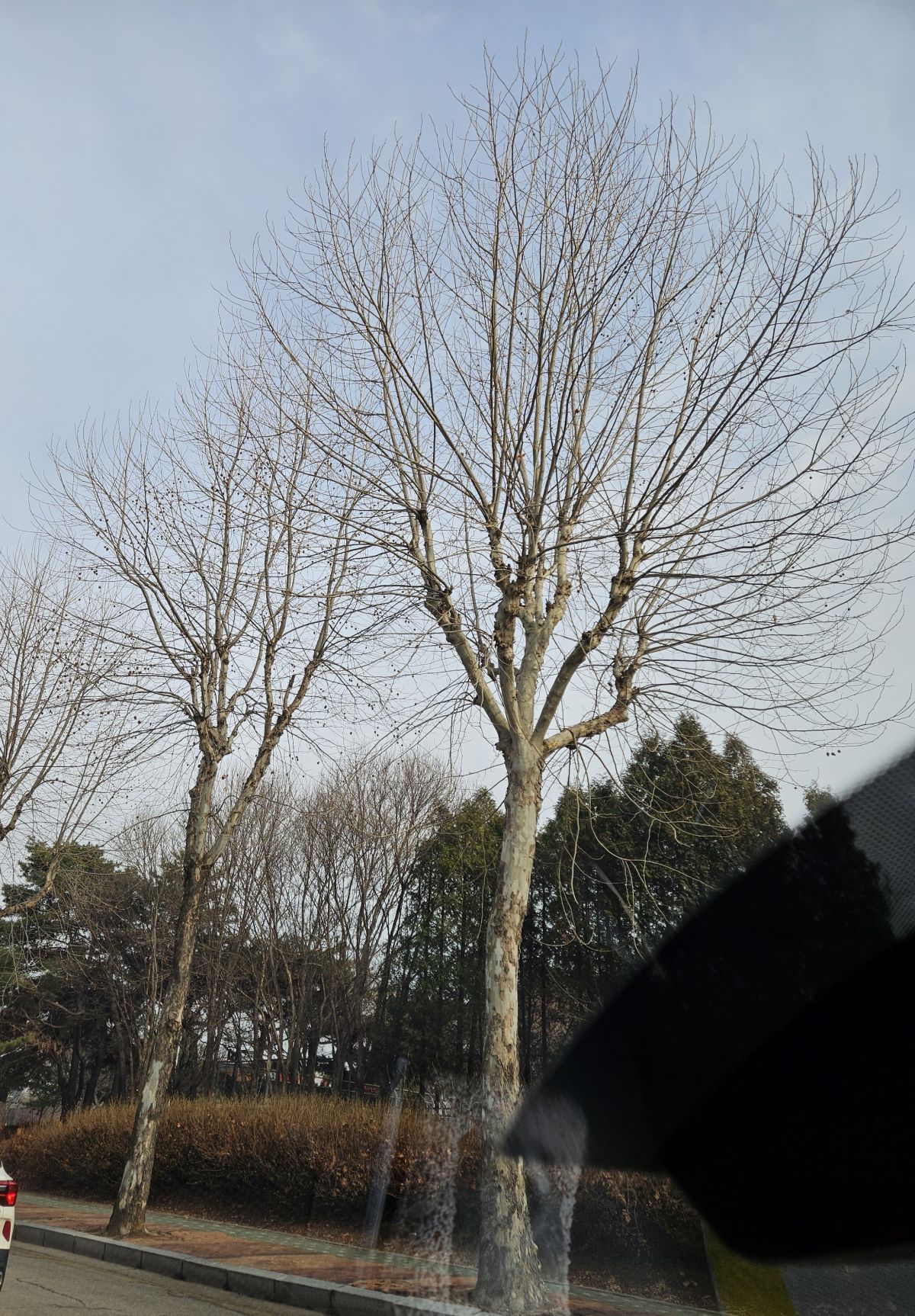 20240311_162506.jpg