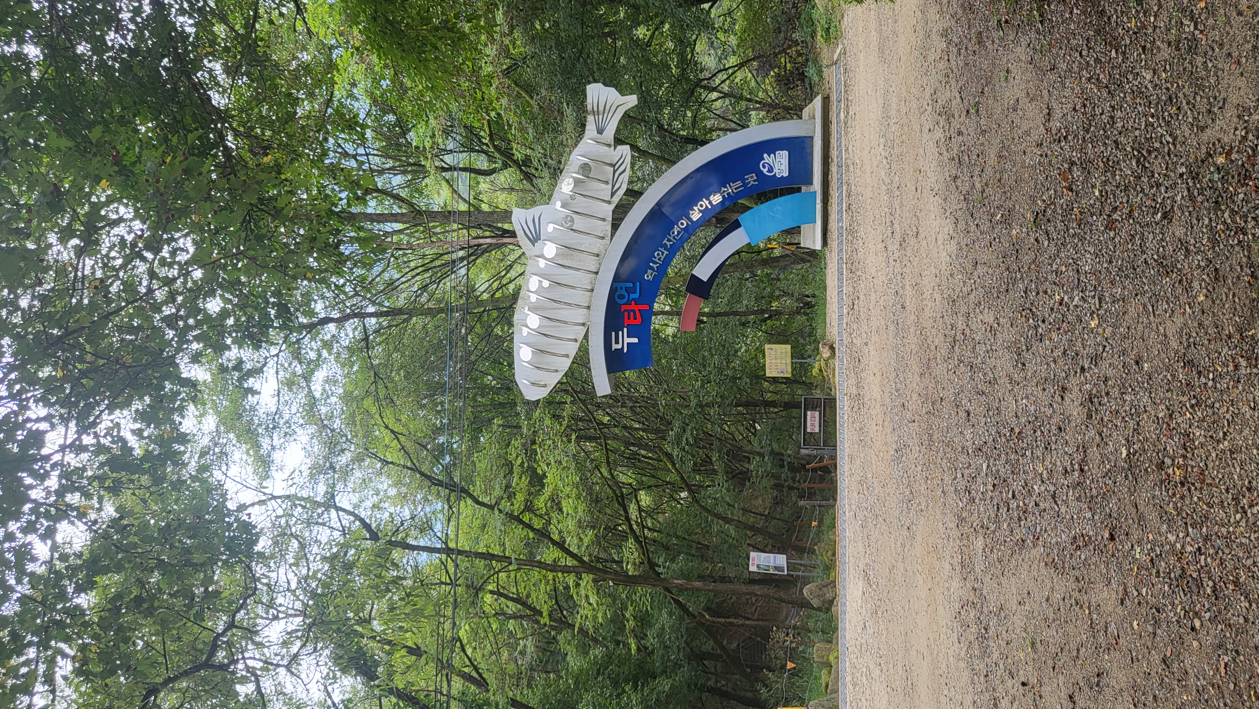 1000081919.jpg