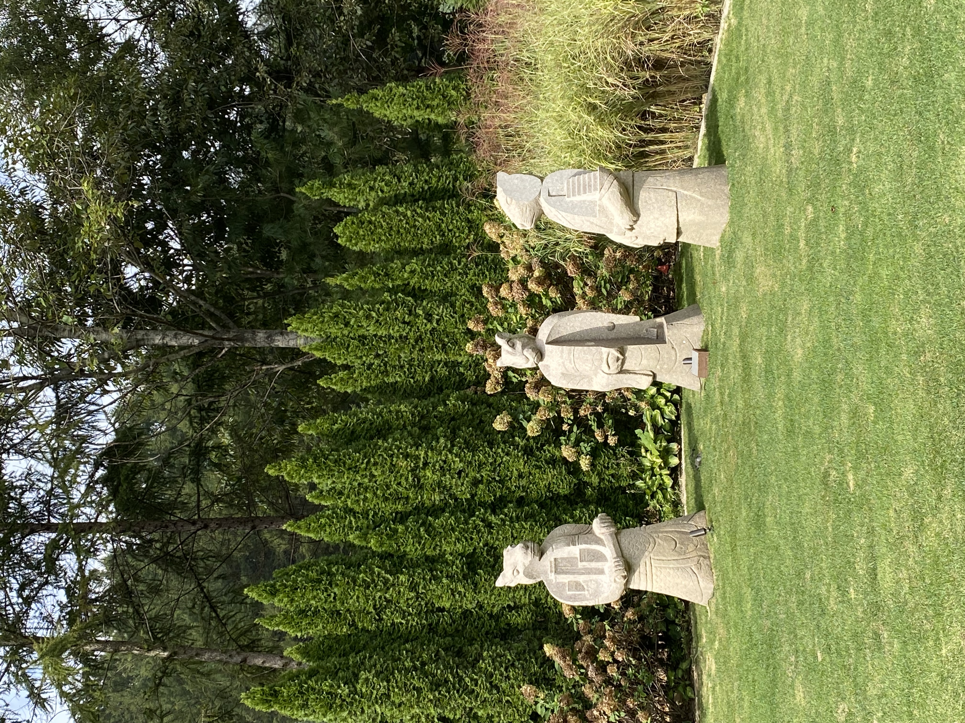 IMG_5291.jpeg
