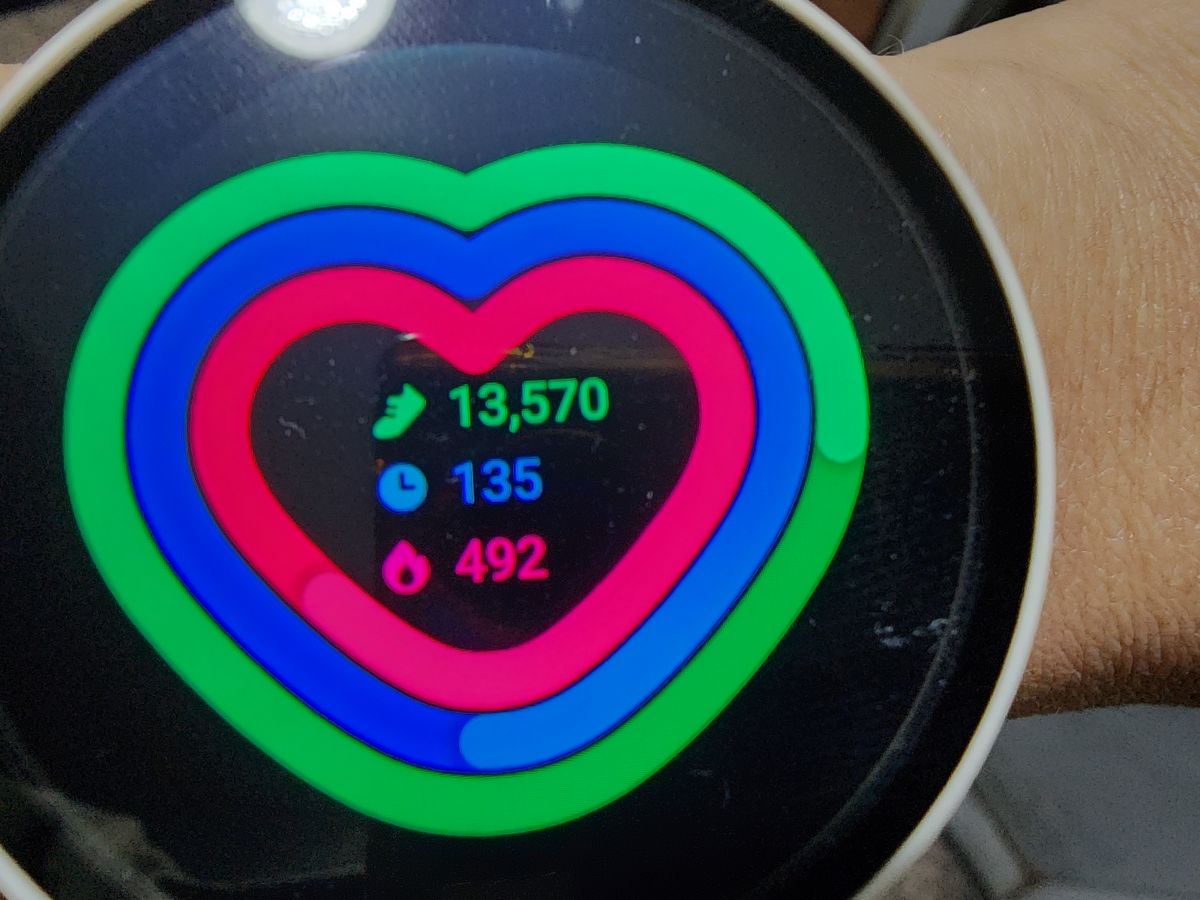 1000033552.jpg