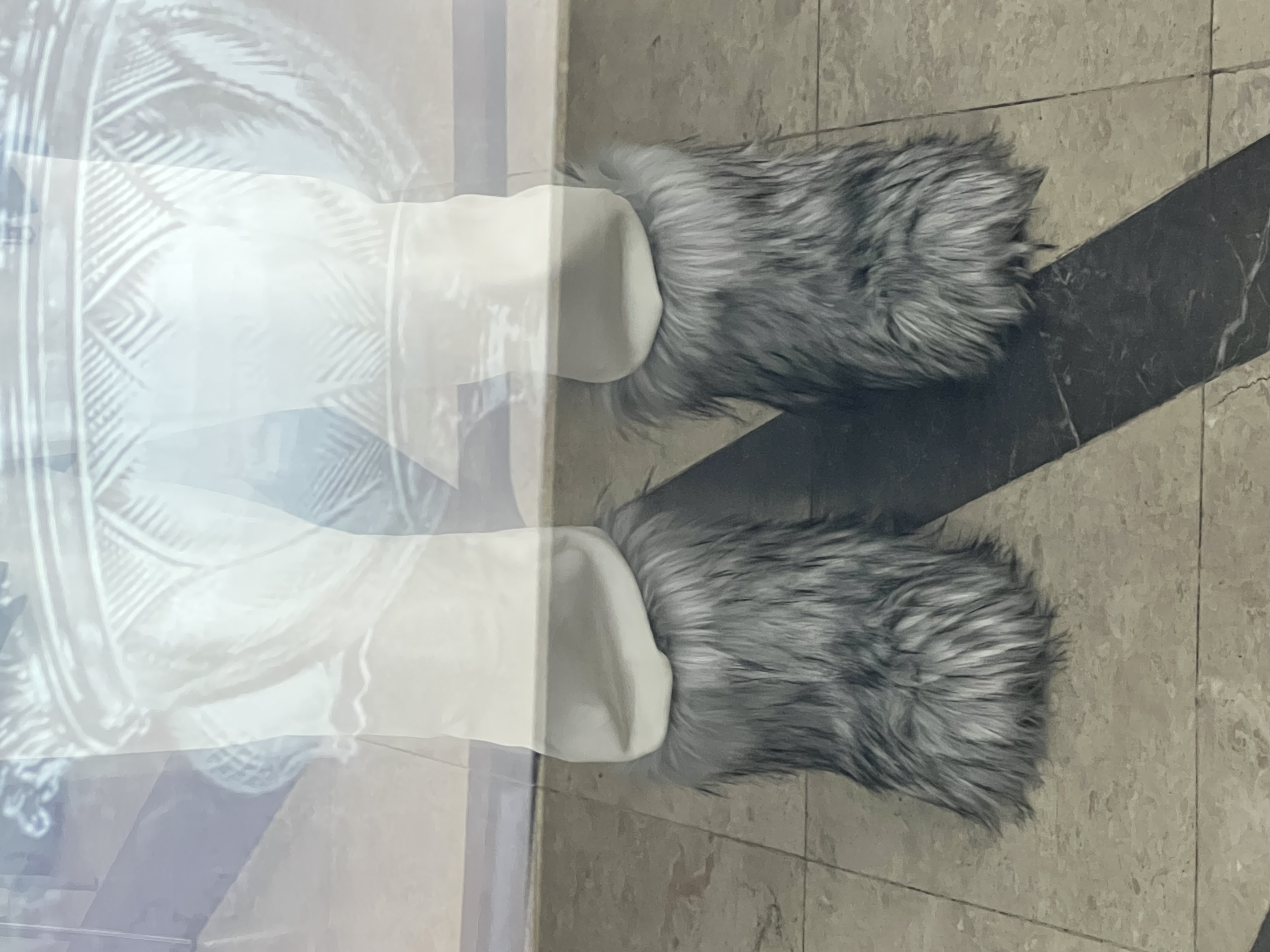 IMG_1800.jpeg