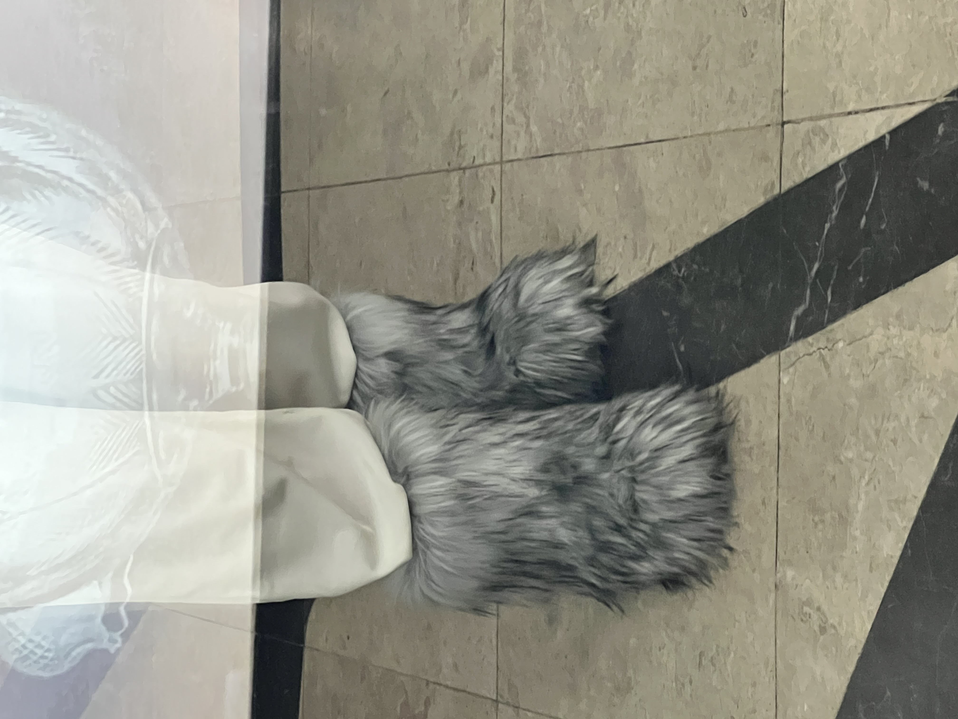 IMG_1799.jpeg