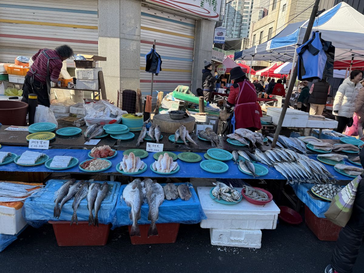 IMG_0174.jpeg