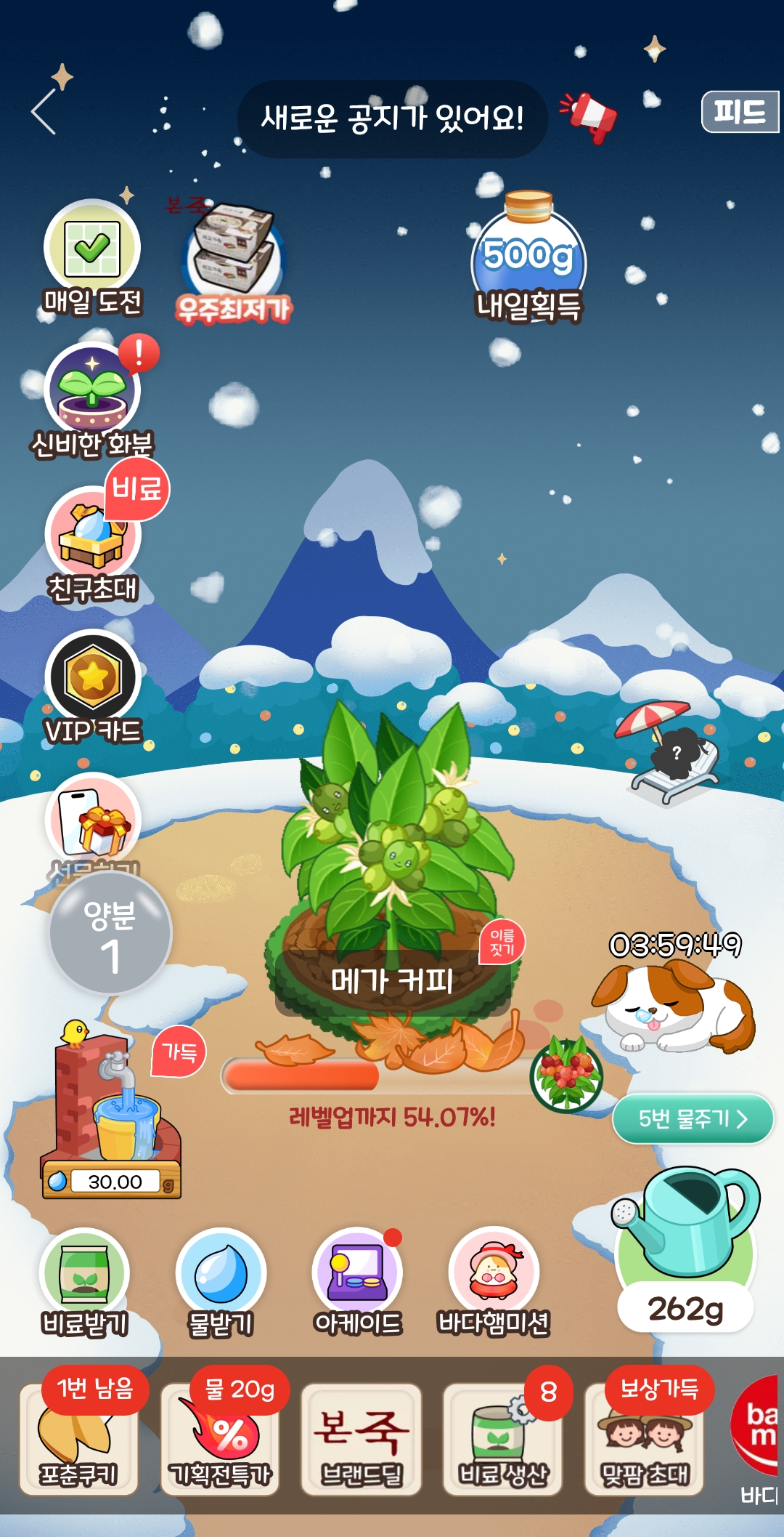 1000045507.jpg
