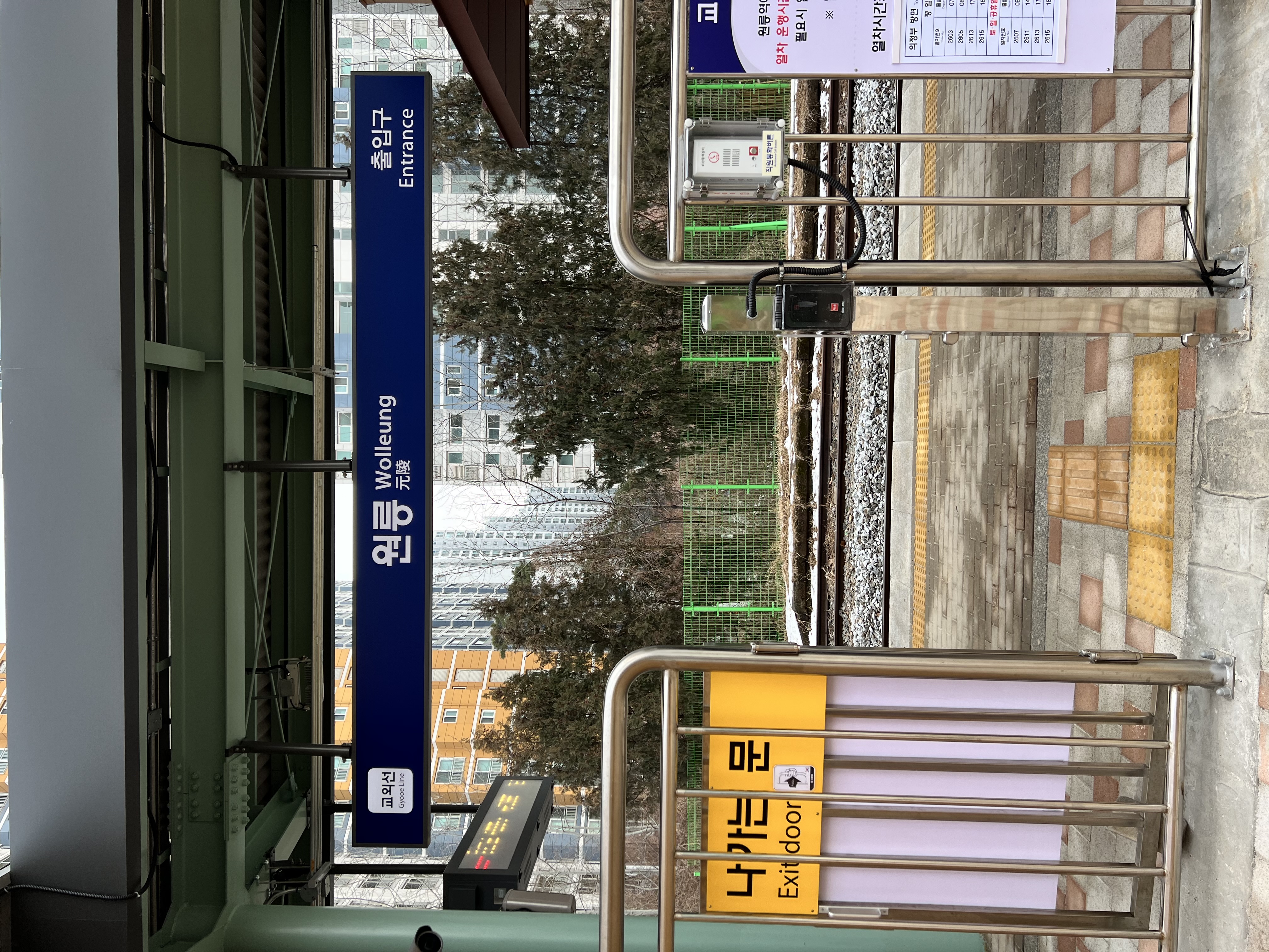 IMG_4206.jpeg