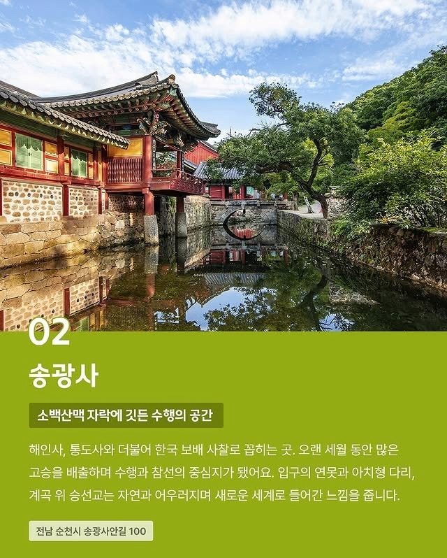IMG_2230.PNG