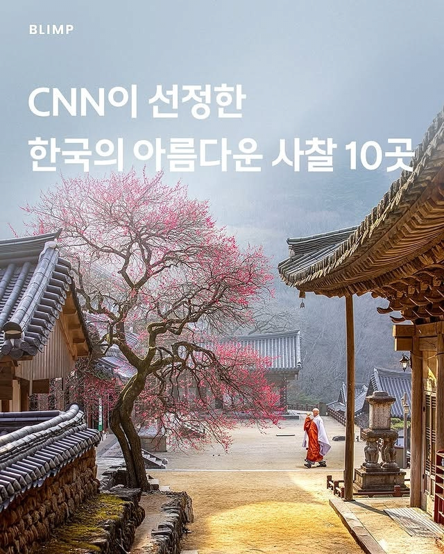 IMG_2228.PNG