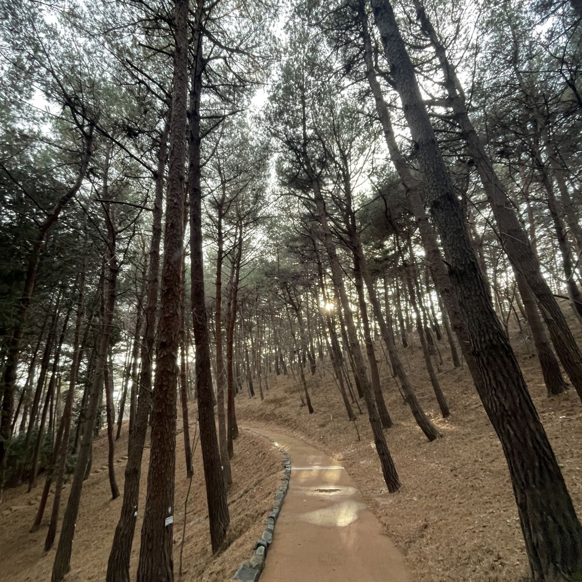 KakaoTalk_20250312_154516153_05.jpg