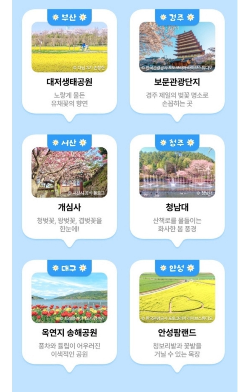 KakaoTalk_20250312_175806605_04.jpg