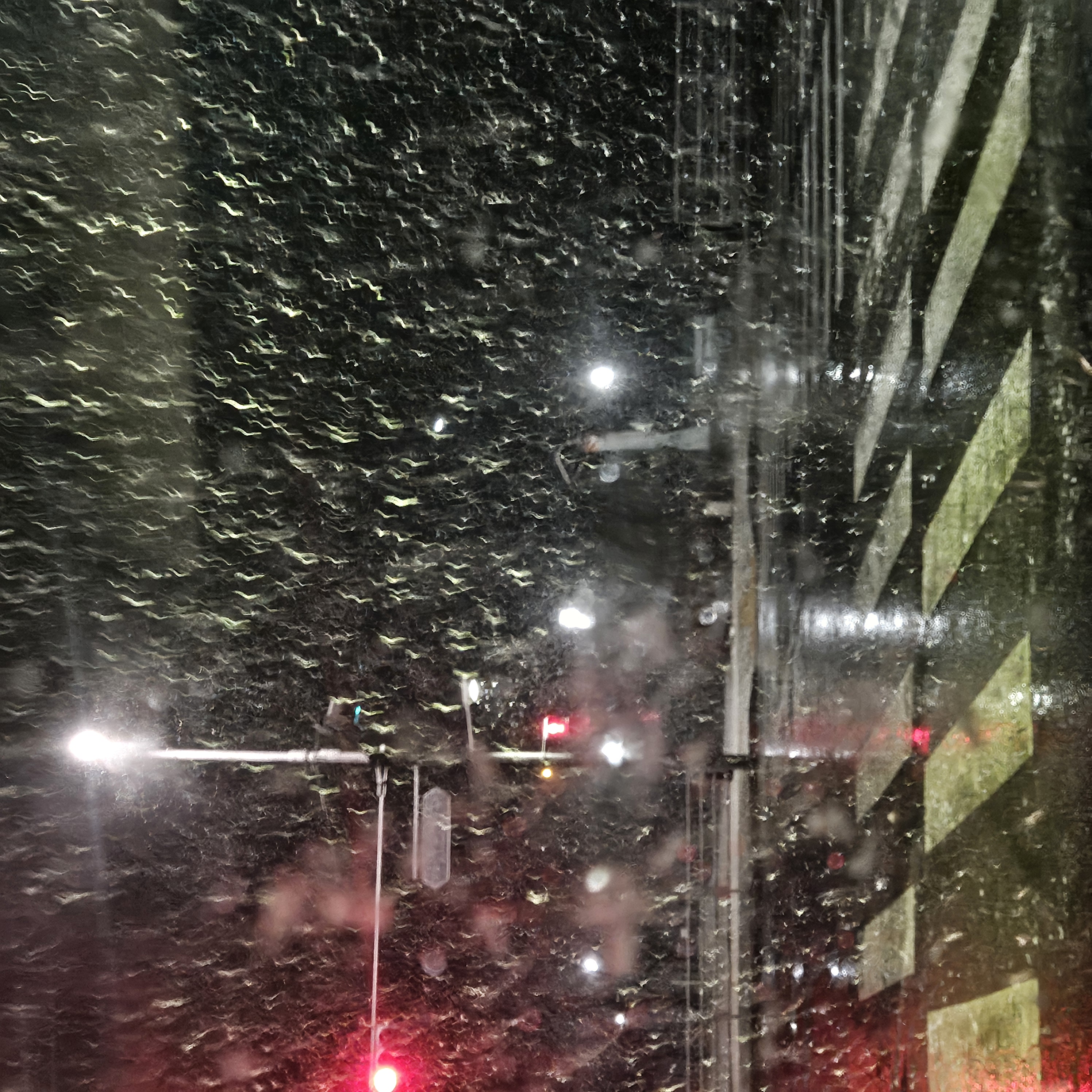 20250317_235620.jpg