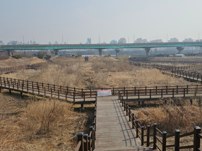 SE-1767861b-fff7-11ef-a402-9db26d494568.jpg