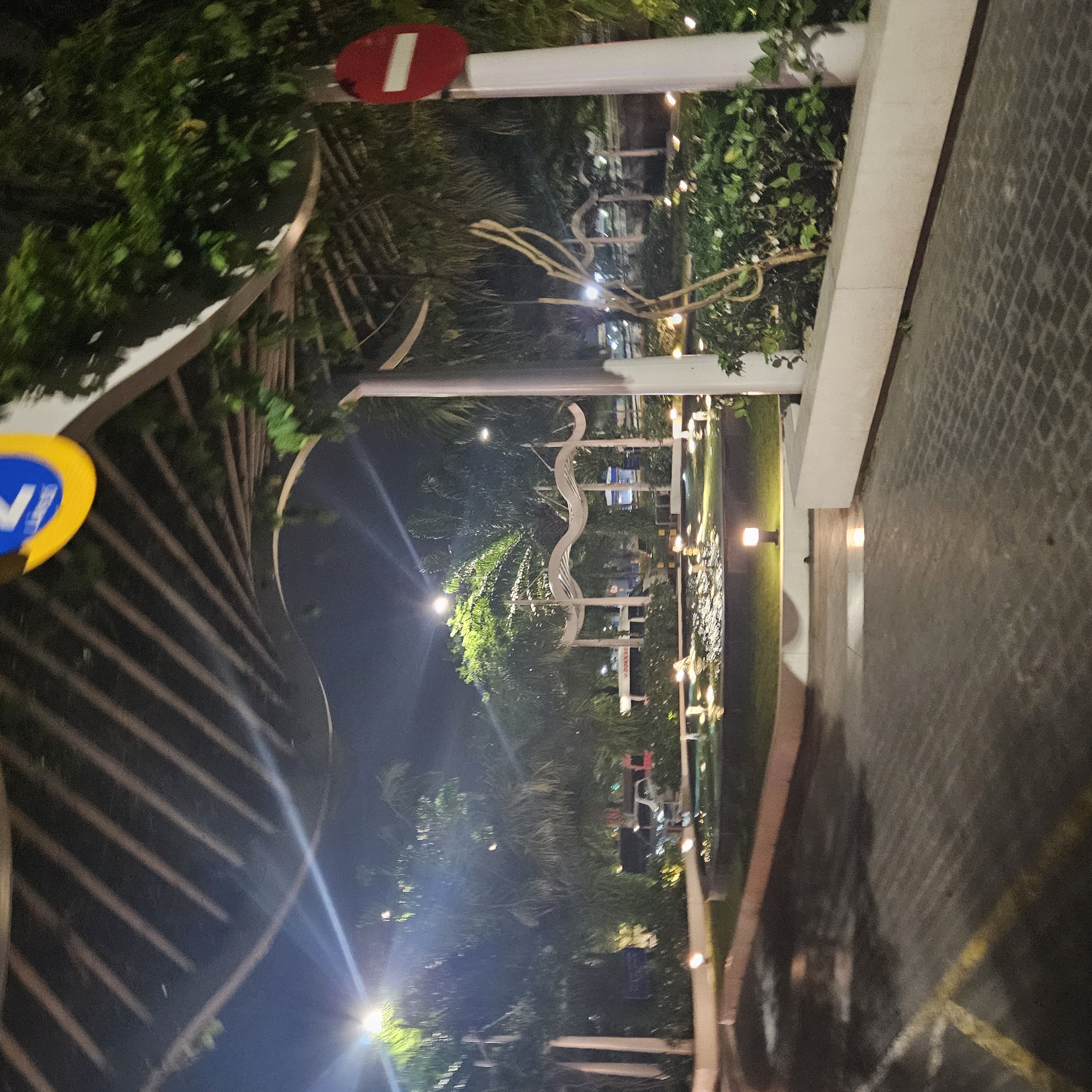 20250319_233341.jpg
