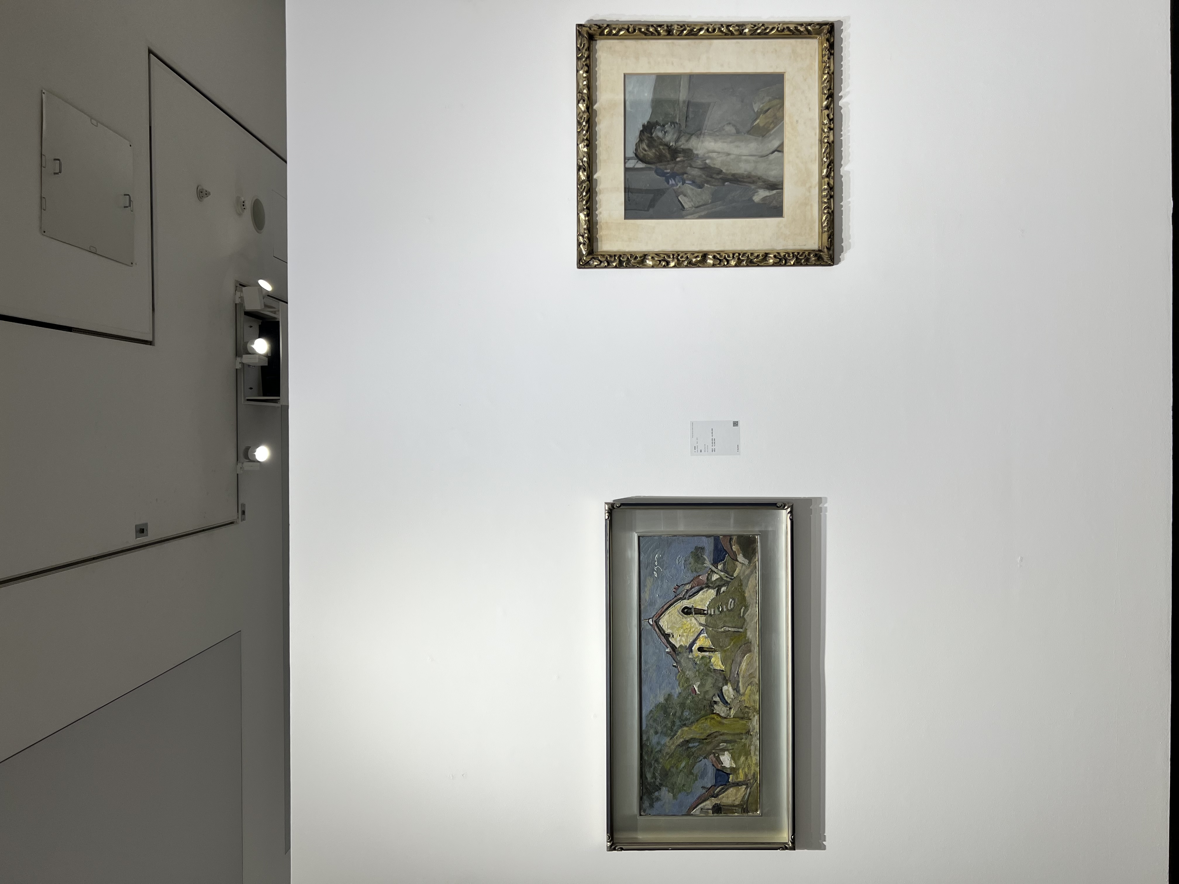 IMG_7894.jpeg