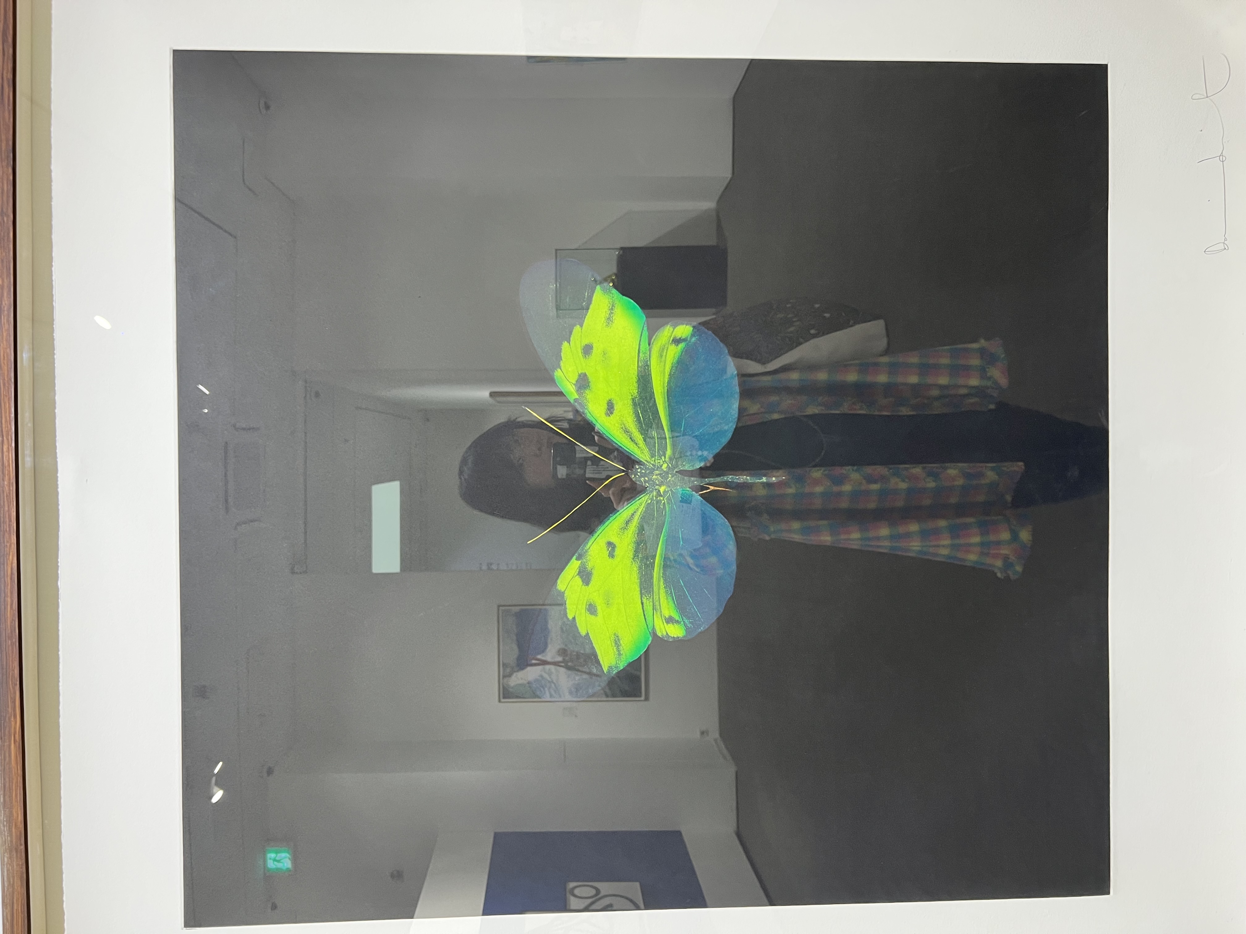 IMG_7853.jpeg