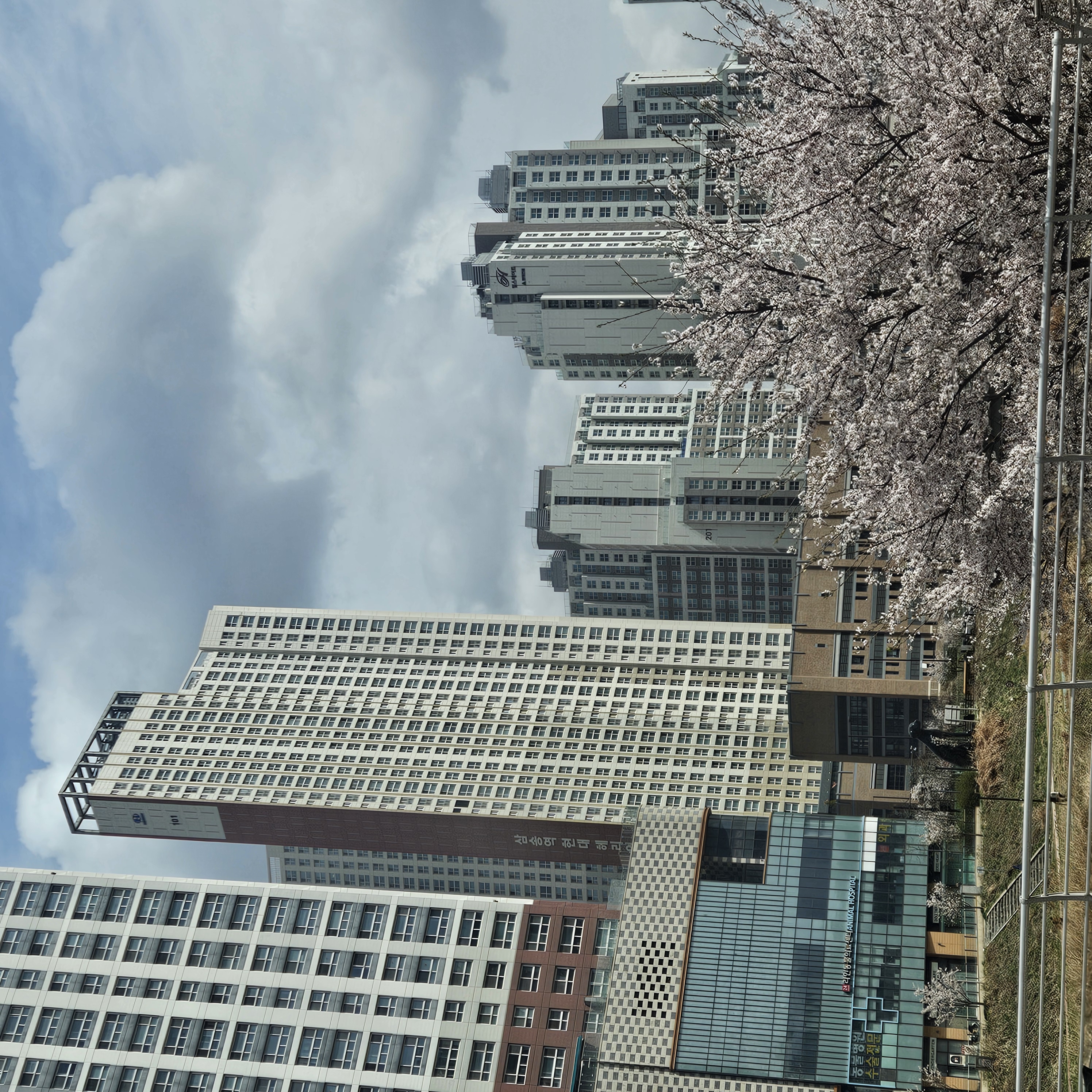 20250413_112925.jpg