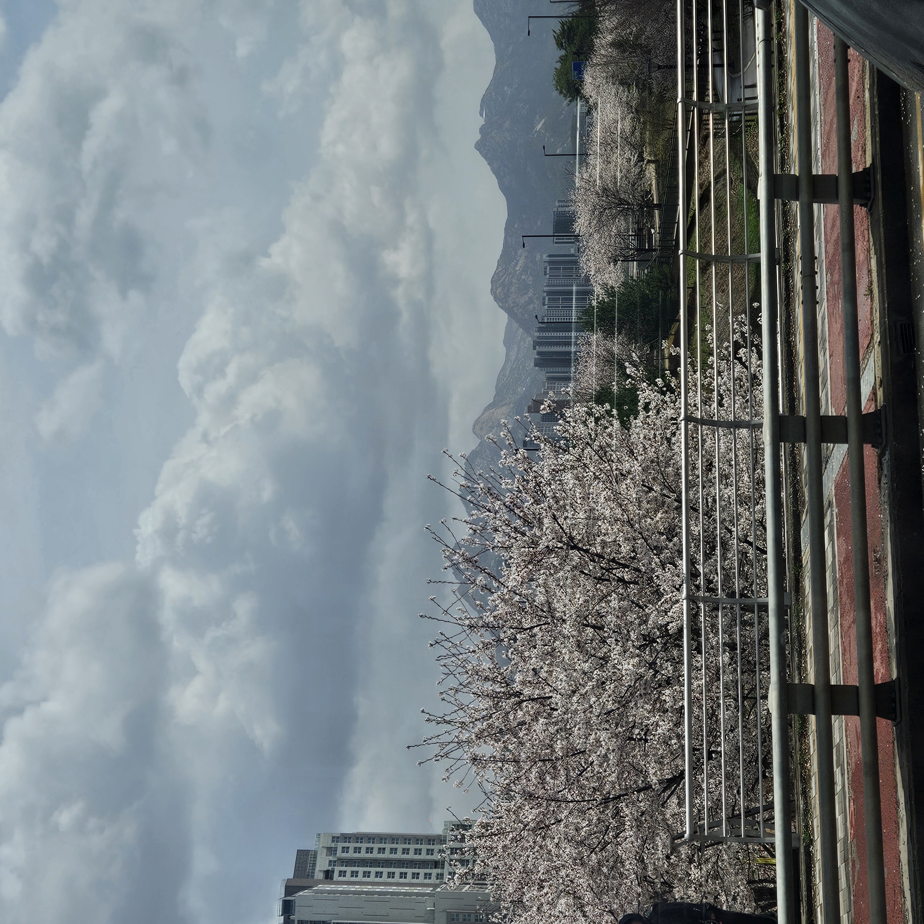 20250413_112908.jpg