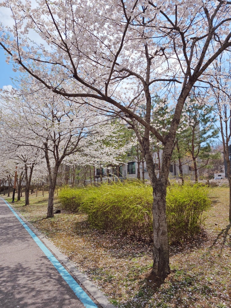 SE-e5e9e754-1acb-11f0-97da-a749d4b2d8f8.jpg