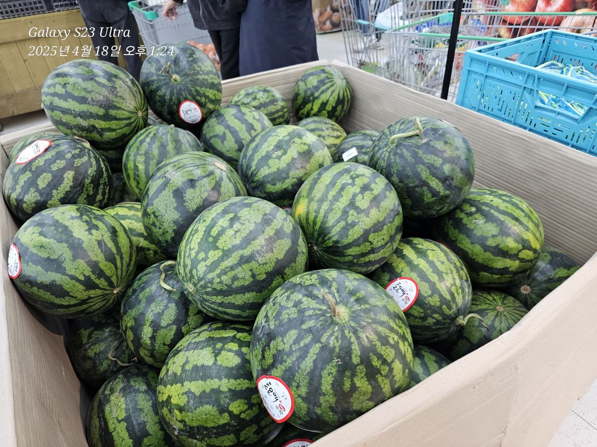 1000115591.jpg