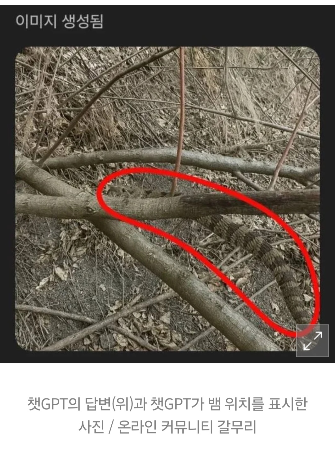 1000123070.jpg
