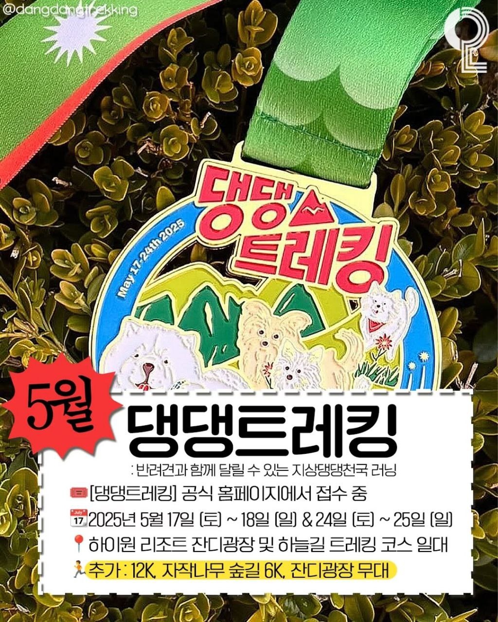 KakaoTalk_20250421_145523166_08.jpg