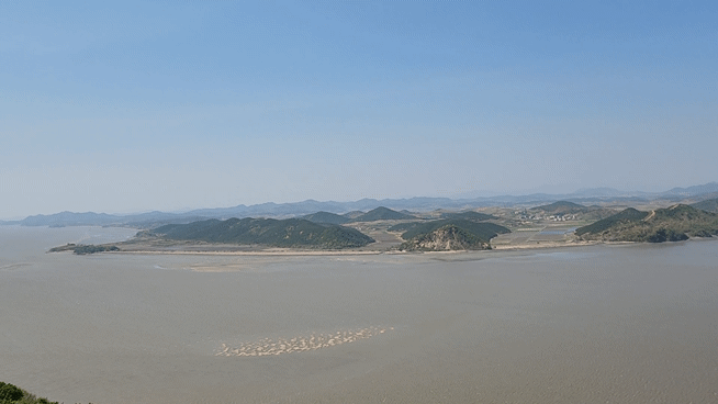 20250428_144345_1.gif