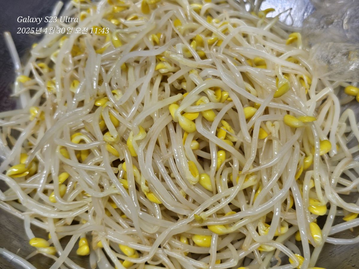1000116823.jpg