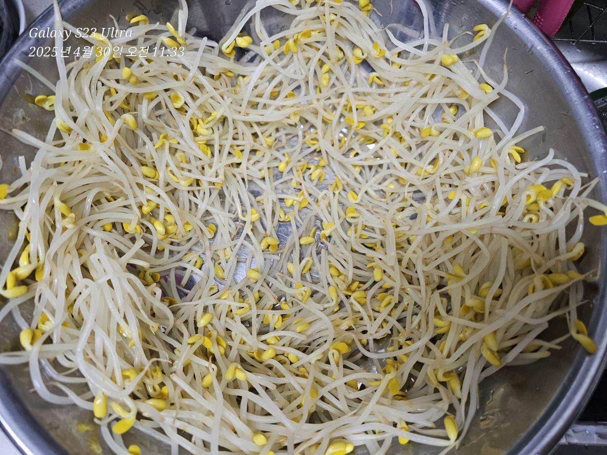 1000116819.jpg