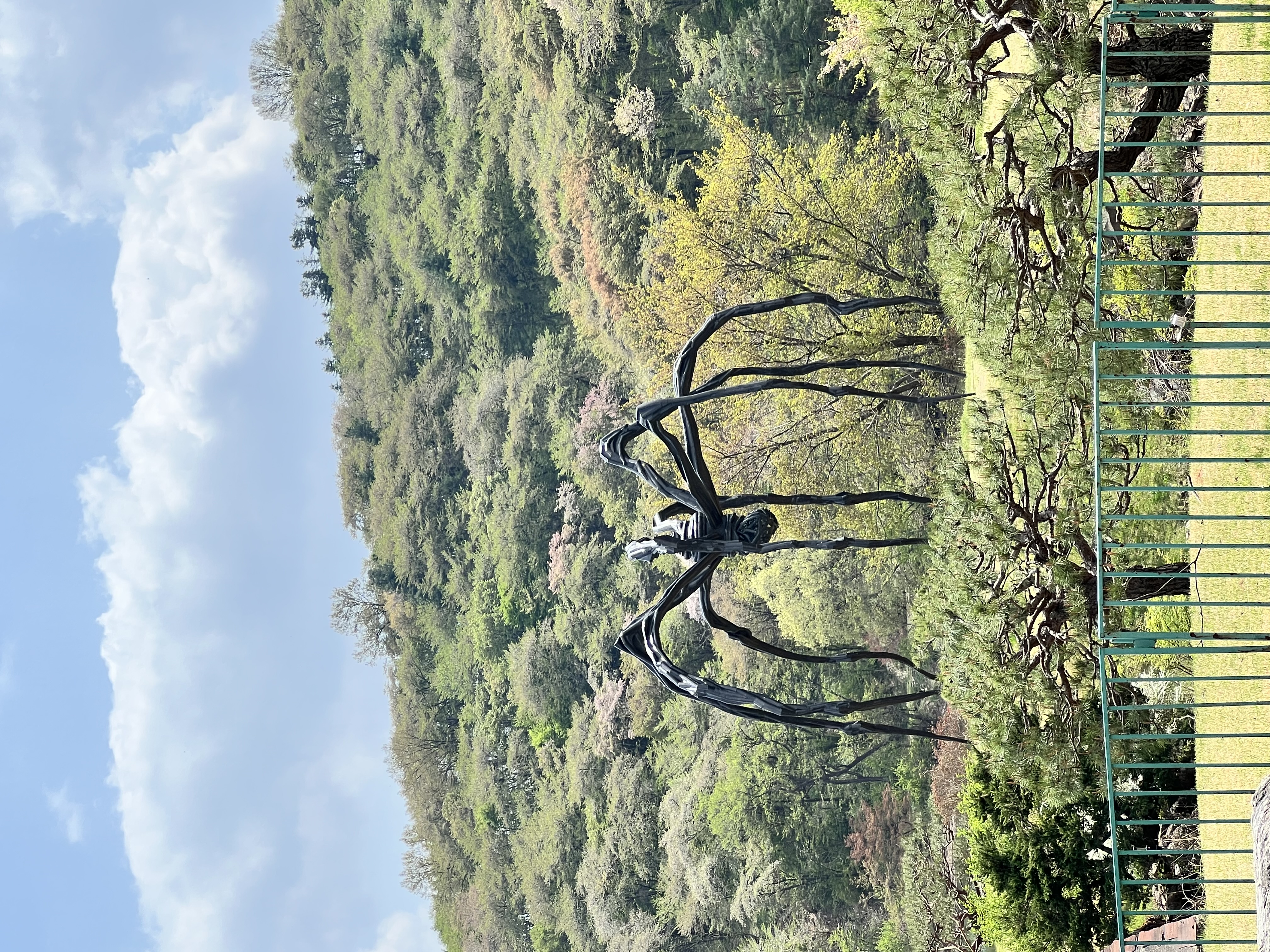 IMG_0445.jpeg