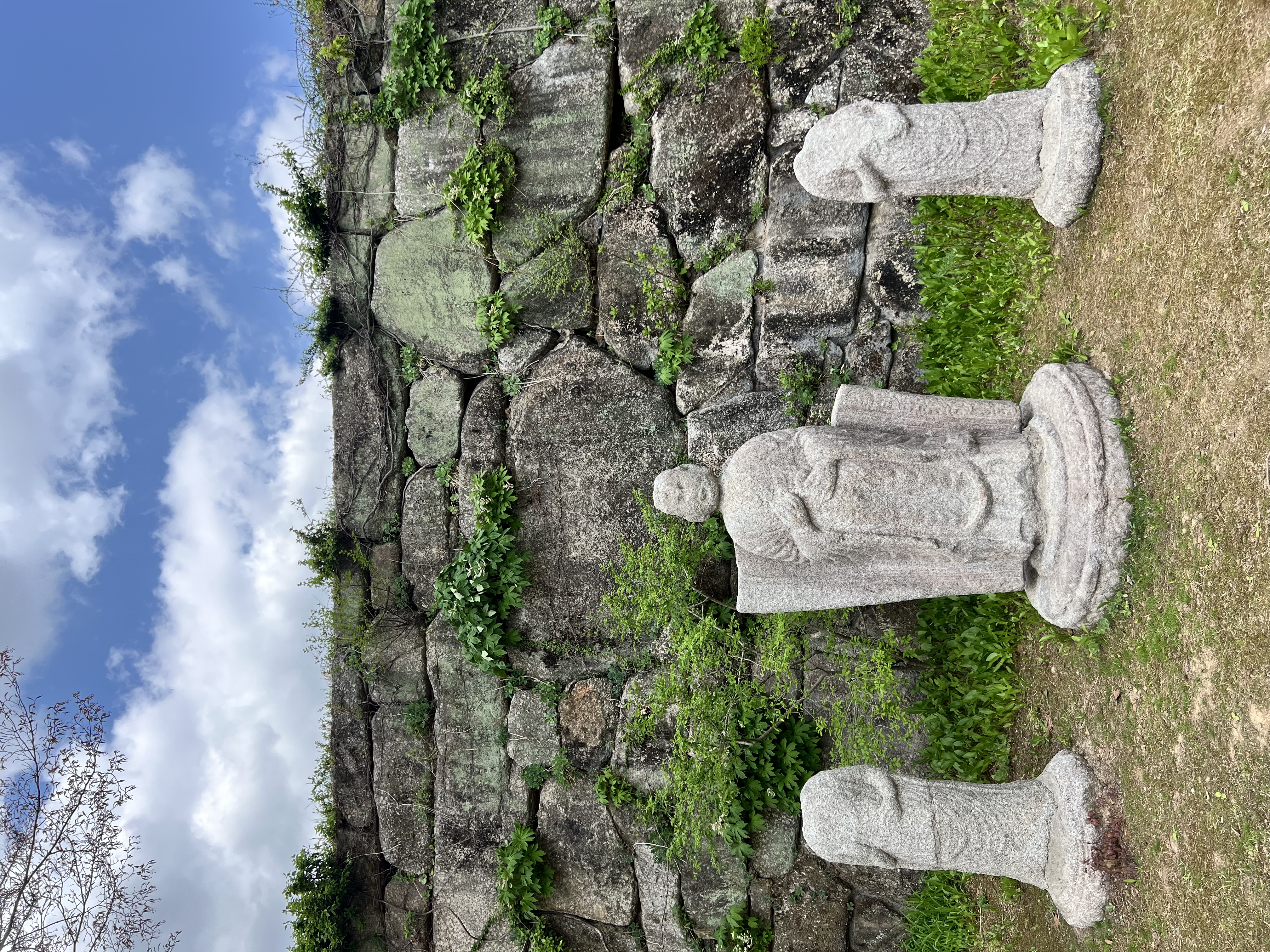 IMG_0418.jpeg