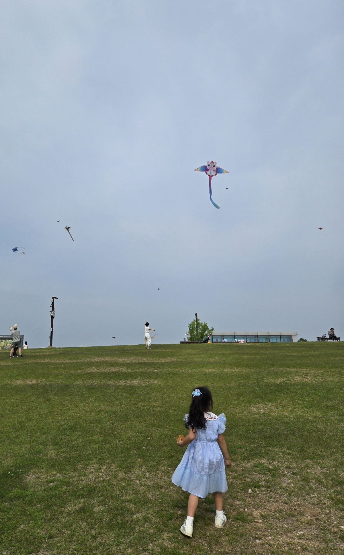 20250531_222011.jpg