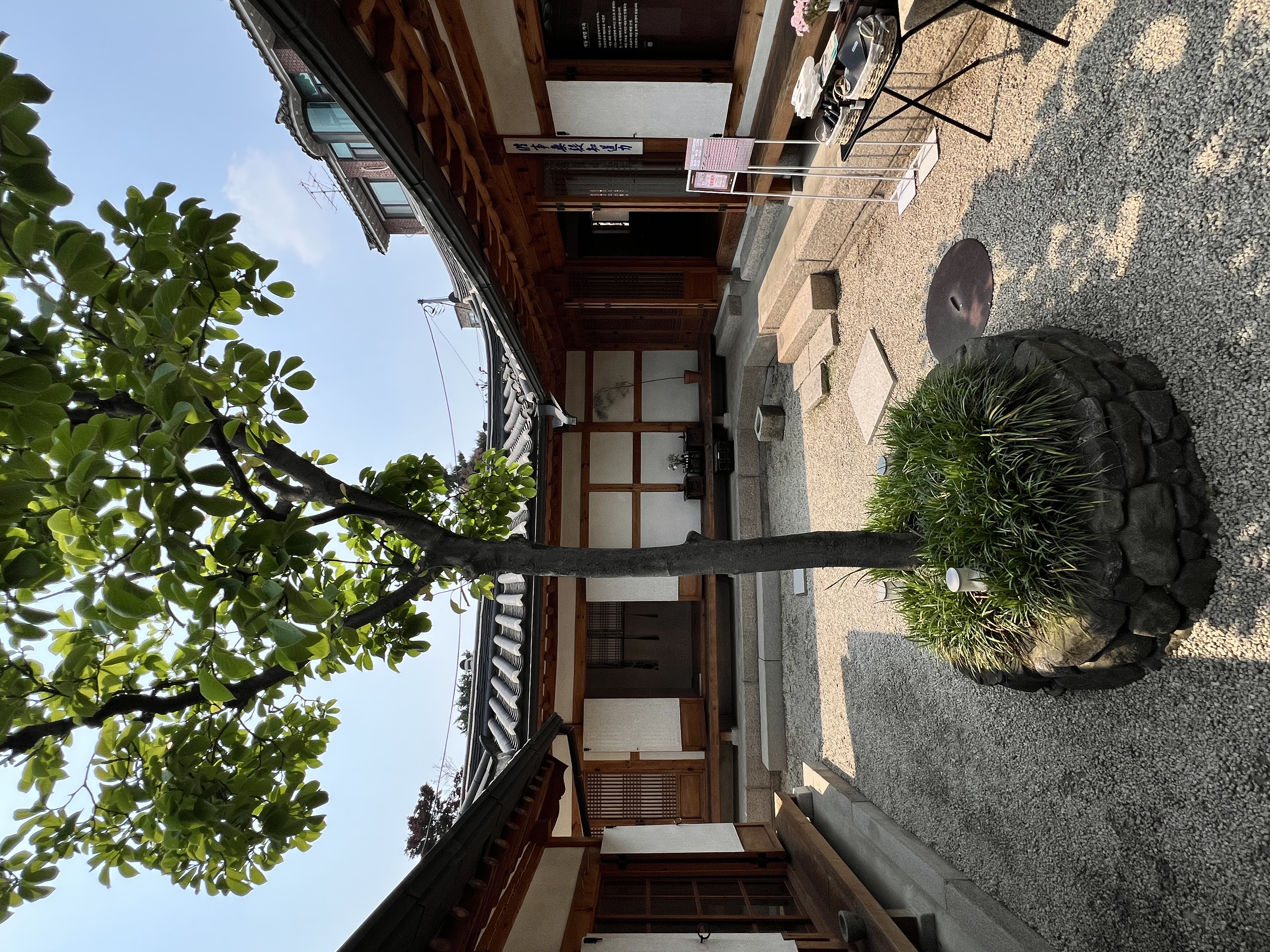 IMG_4111.jpeg