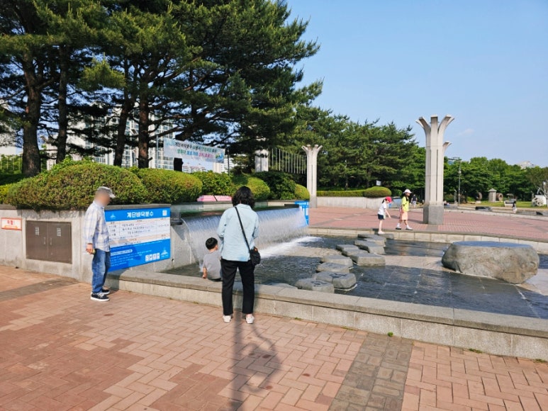 SE-02137bba-3efb-11f0-b538-71eb6e031b02.jpg