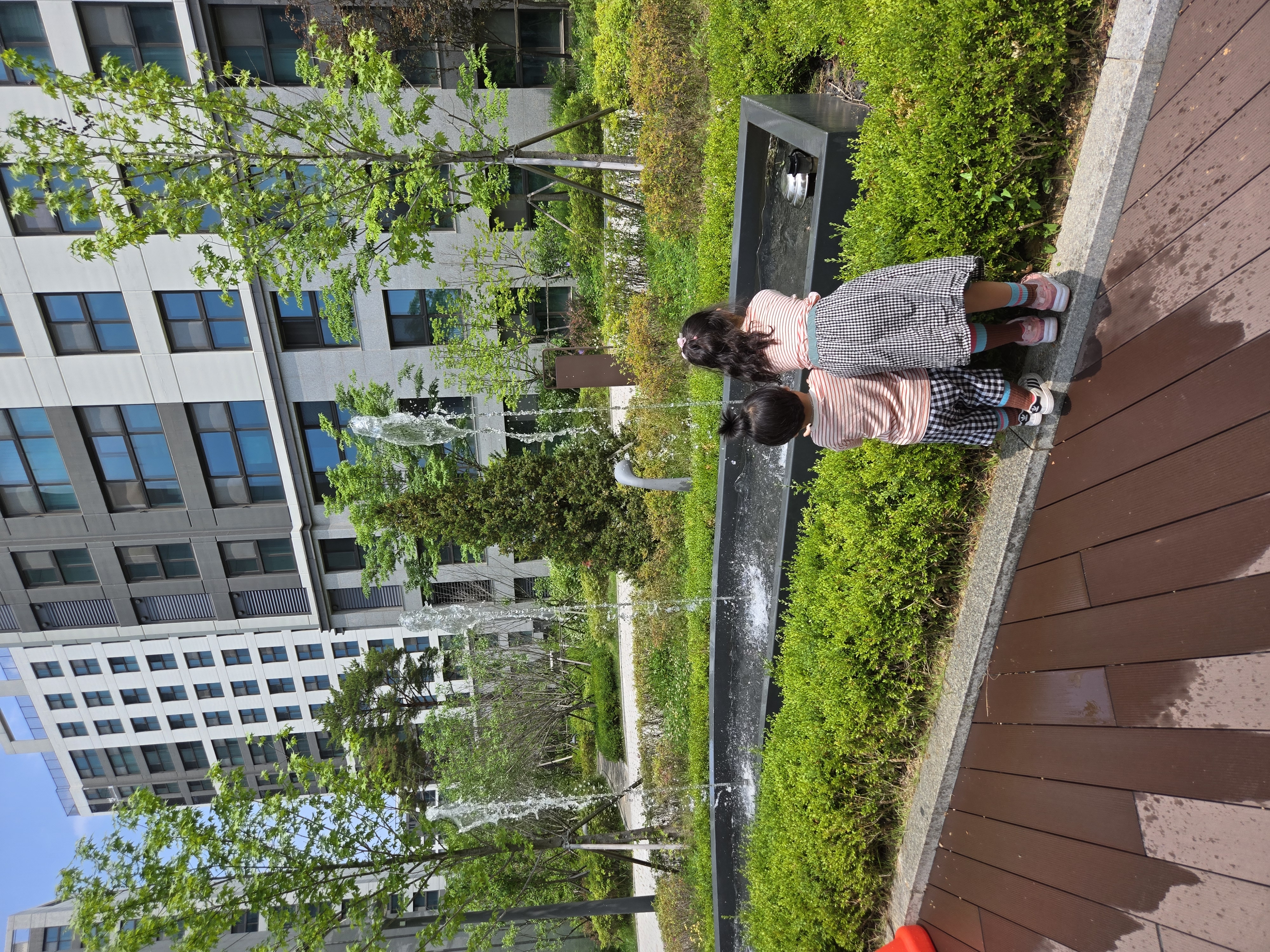 20250603_122938.jpg