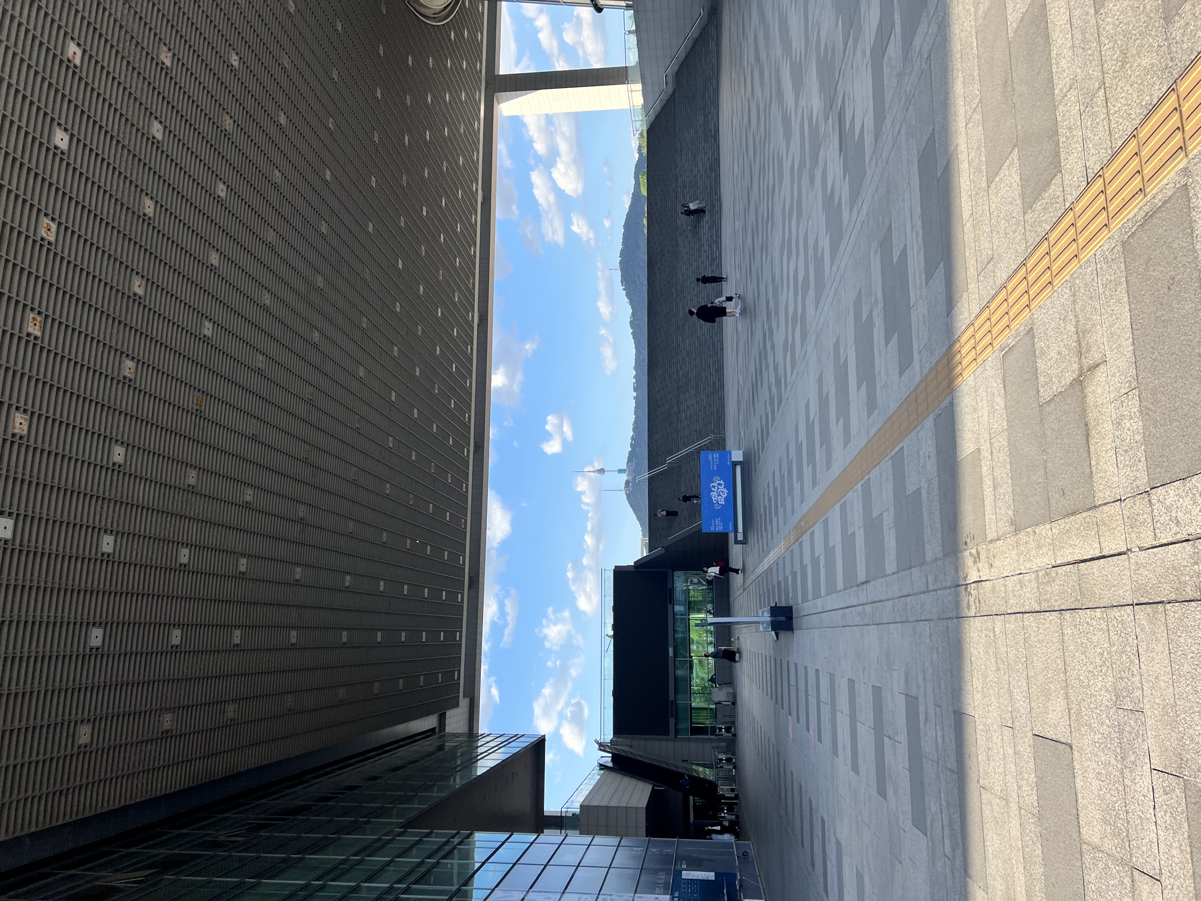 IMG_4734.jpeg