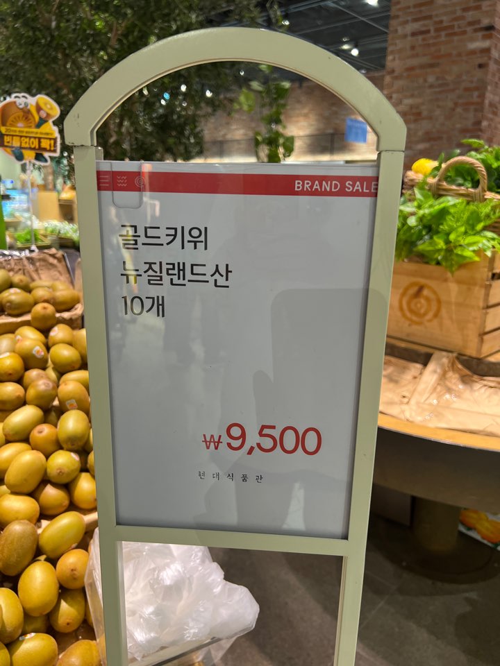 IMG_5099.jpeg