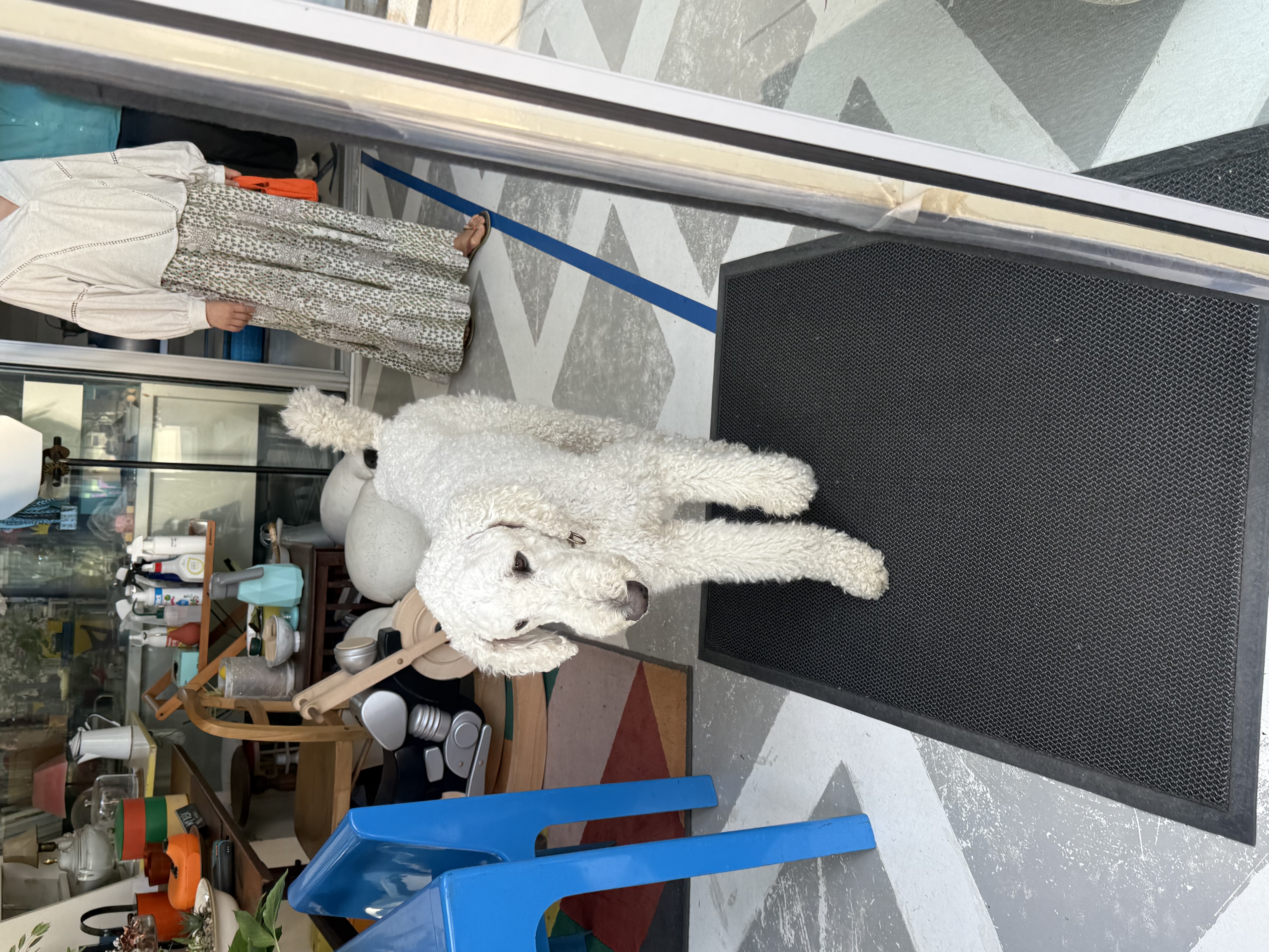KakaoTalk_20250529_134545320_12.jpg