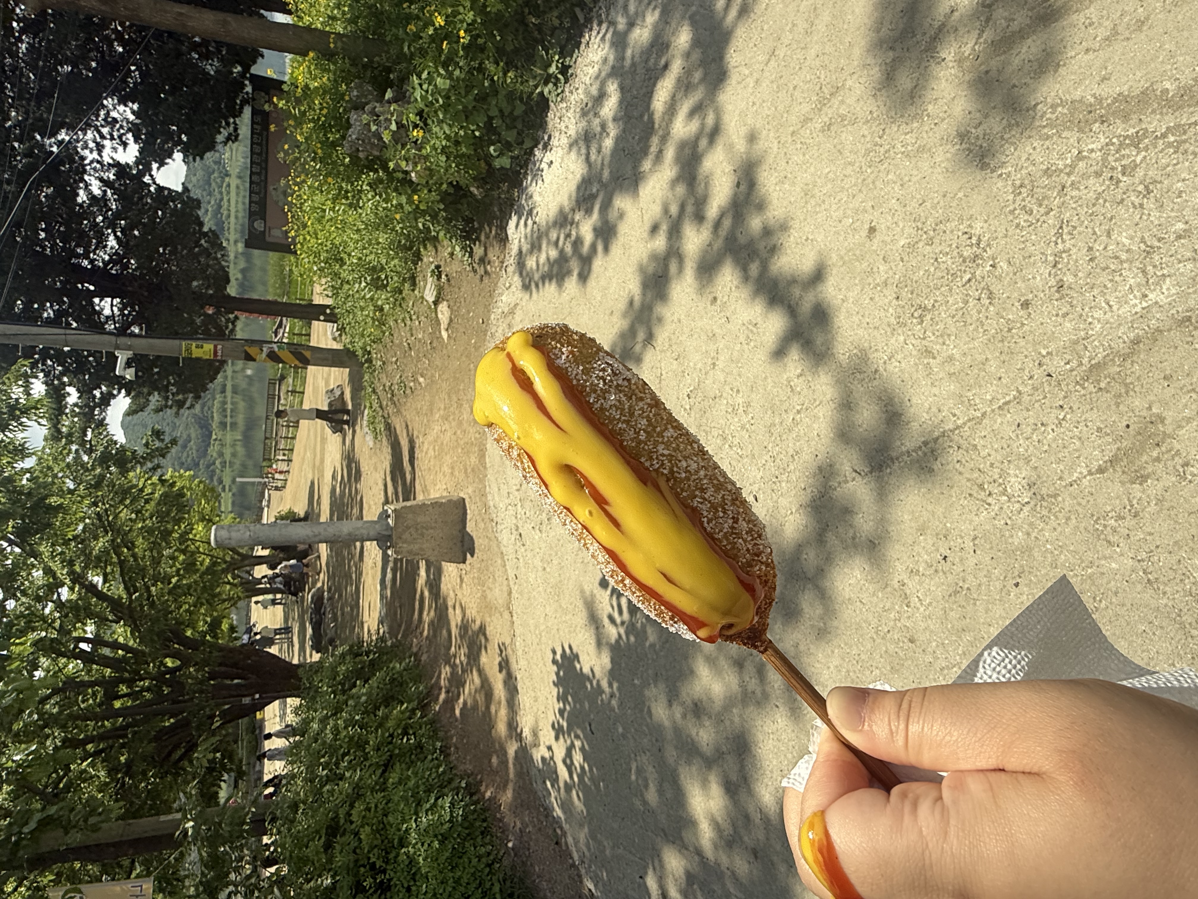 KakaoTalk_20250529_134545320_18.jpg