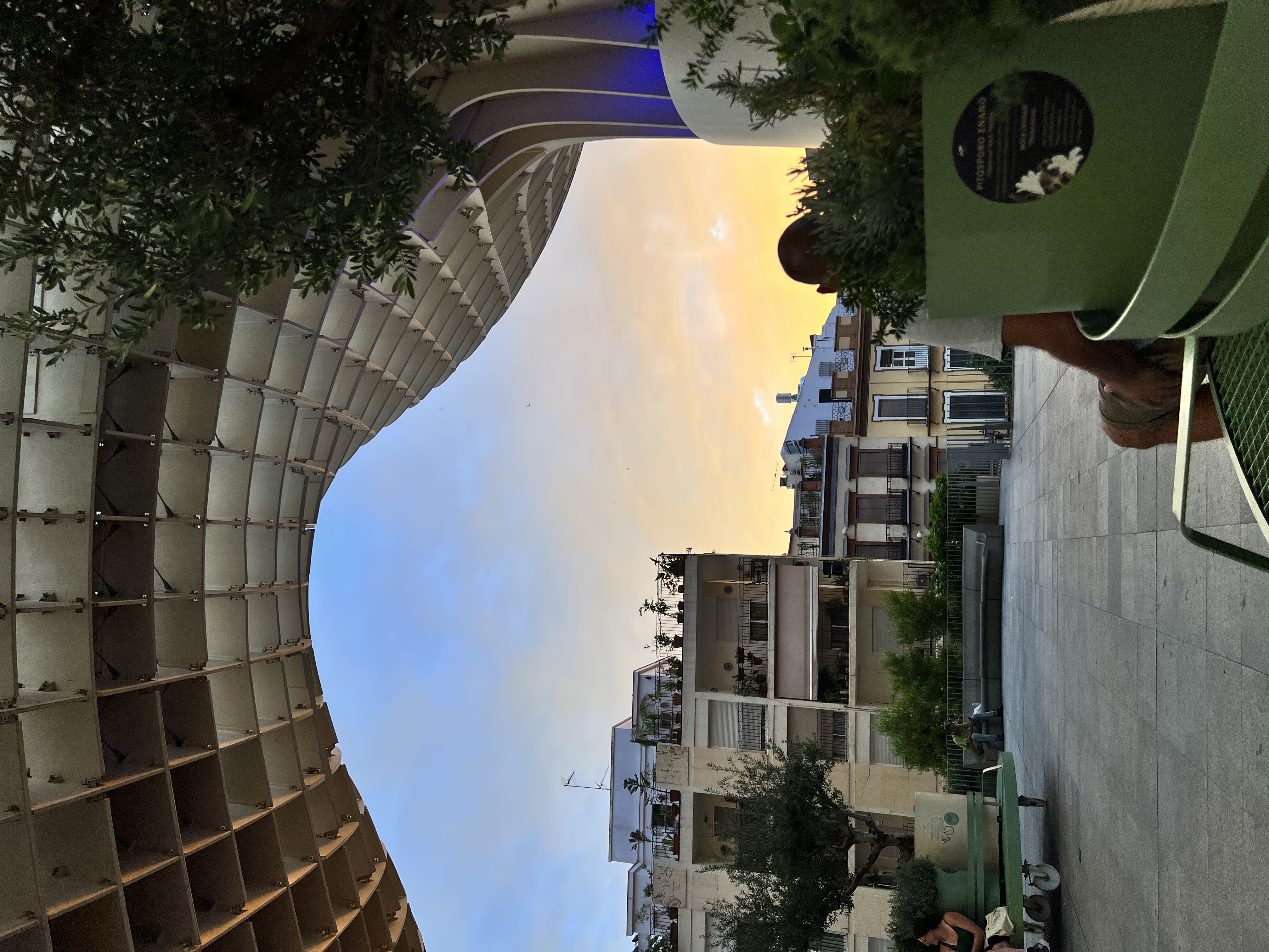 IMG_9368.jpeg