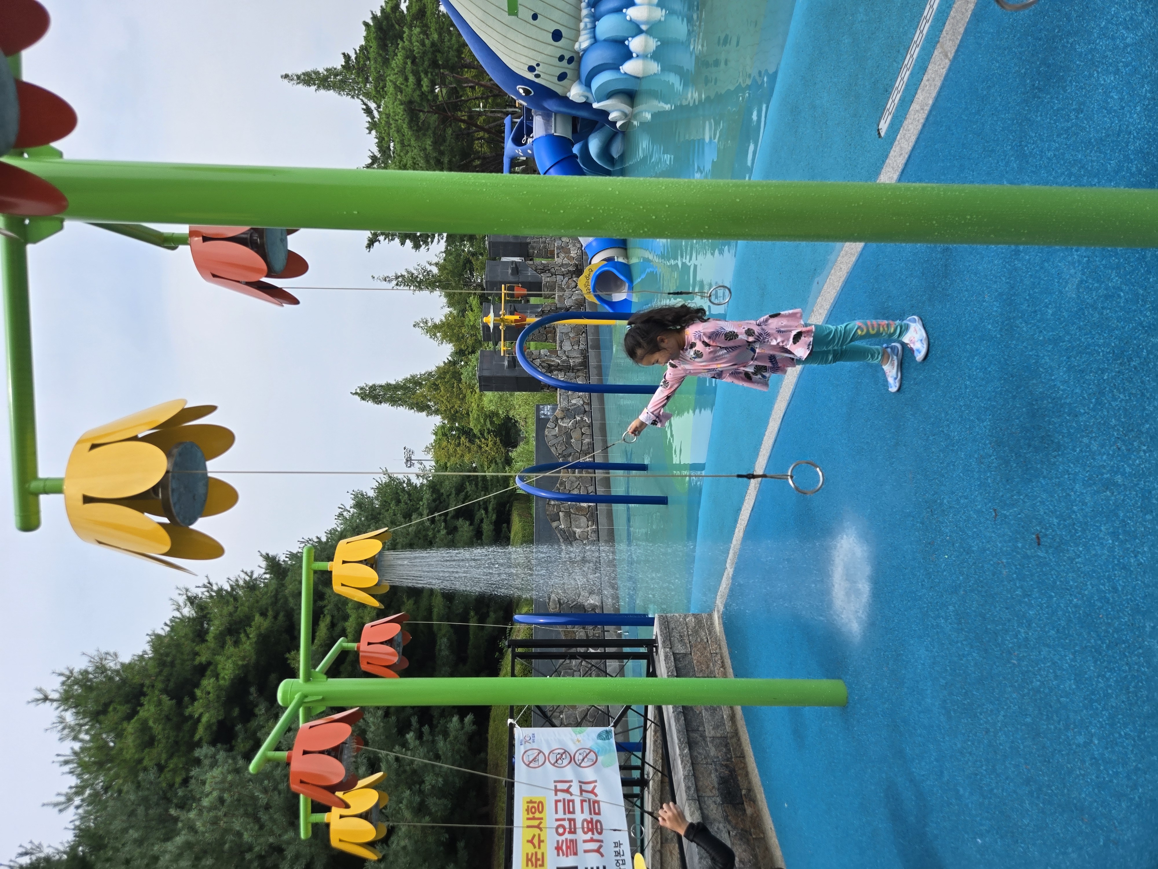 20250730_124500.jpg