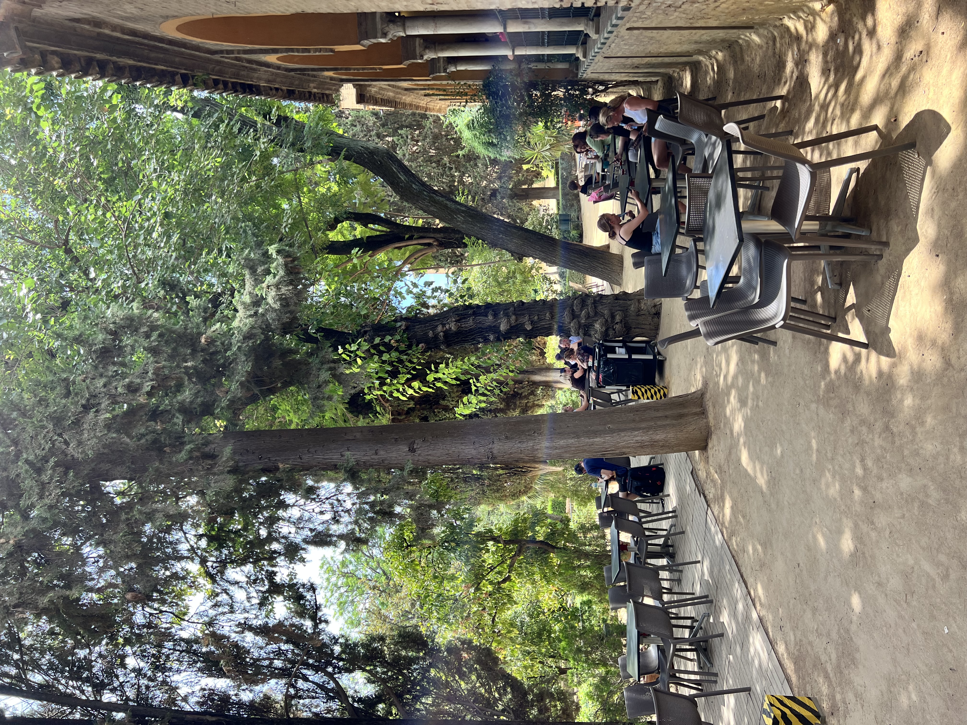 IMG_9782.jpeg