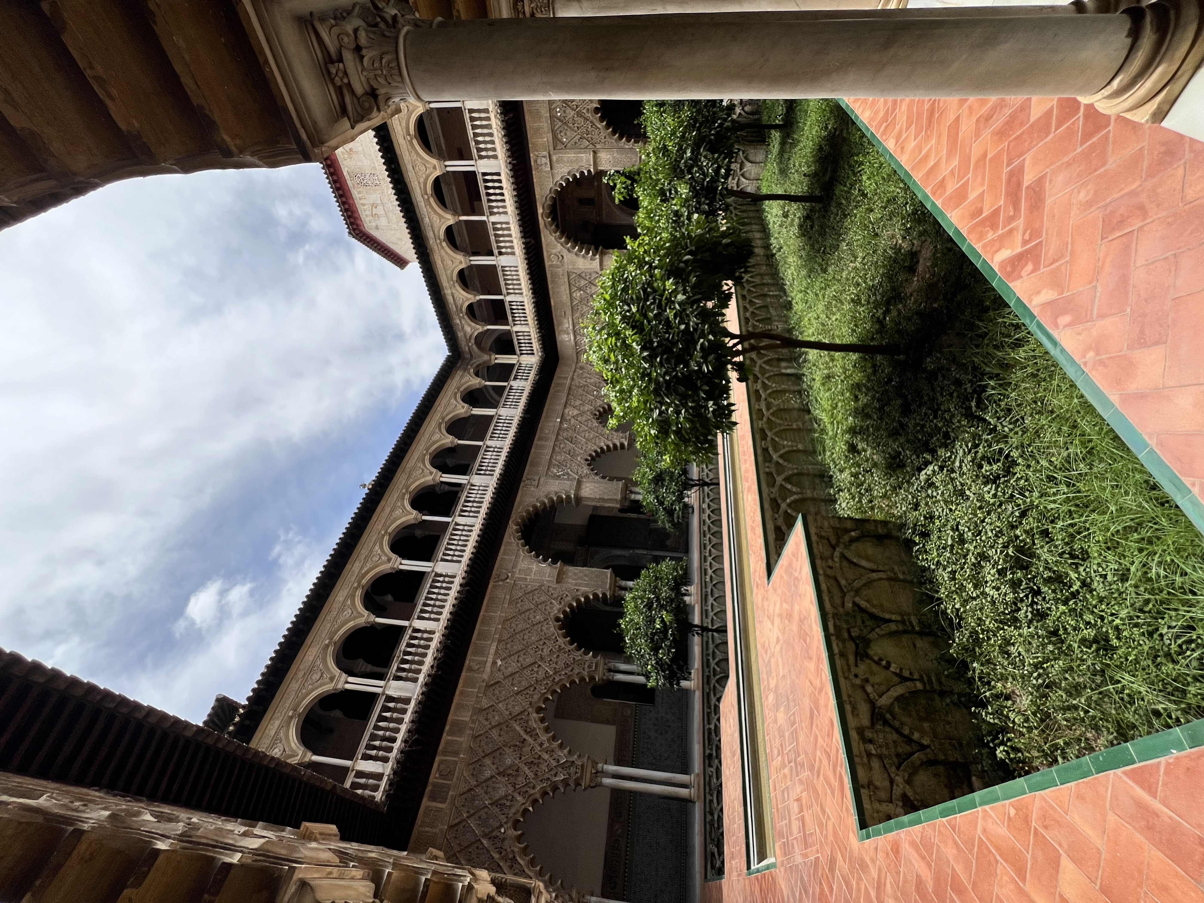 IMG_9587.jpeg