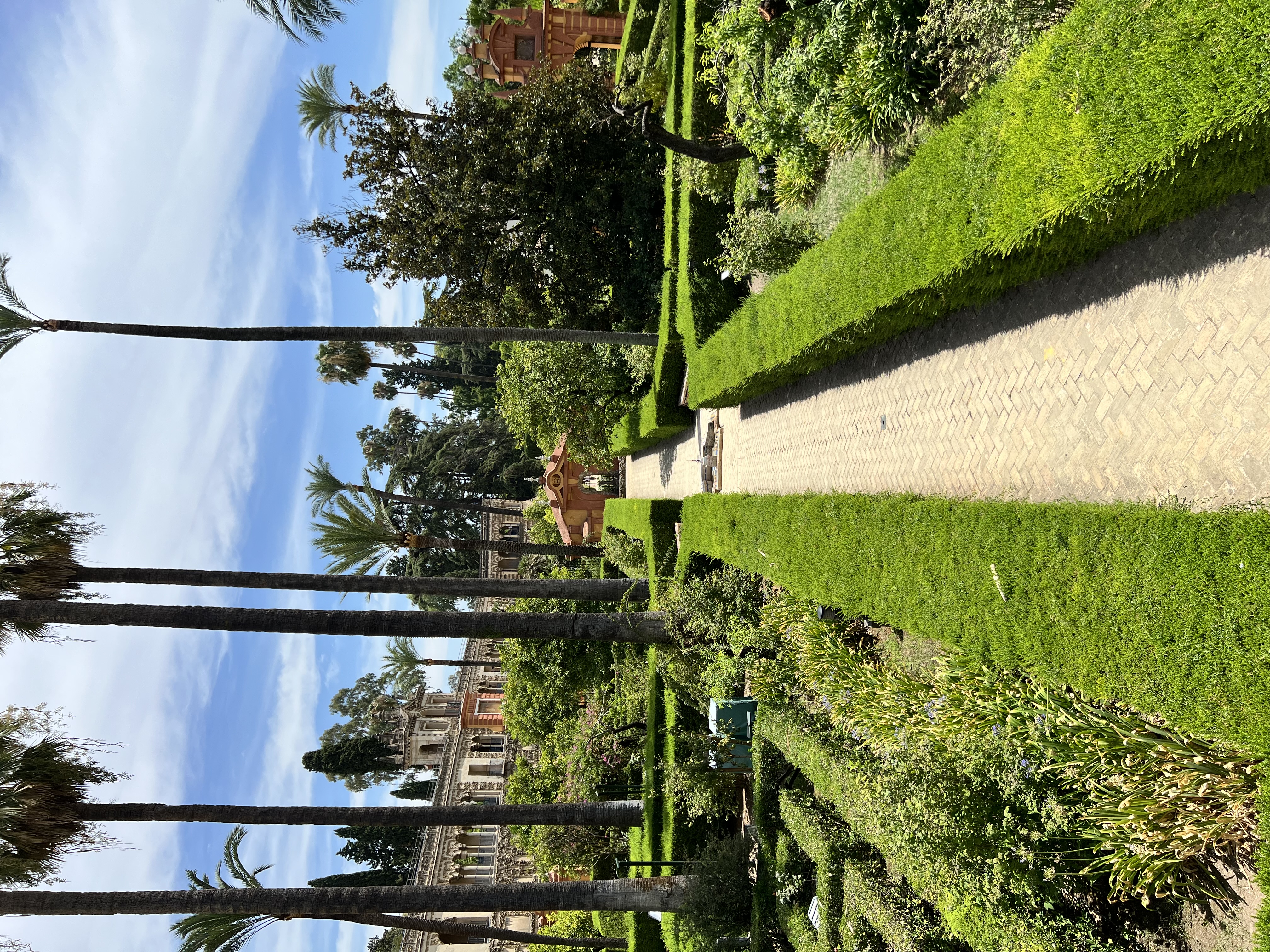 IMG_9637.jpeg