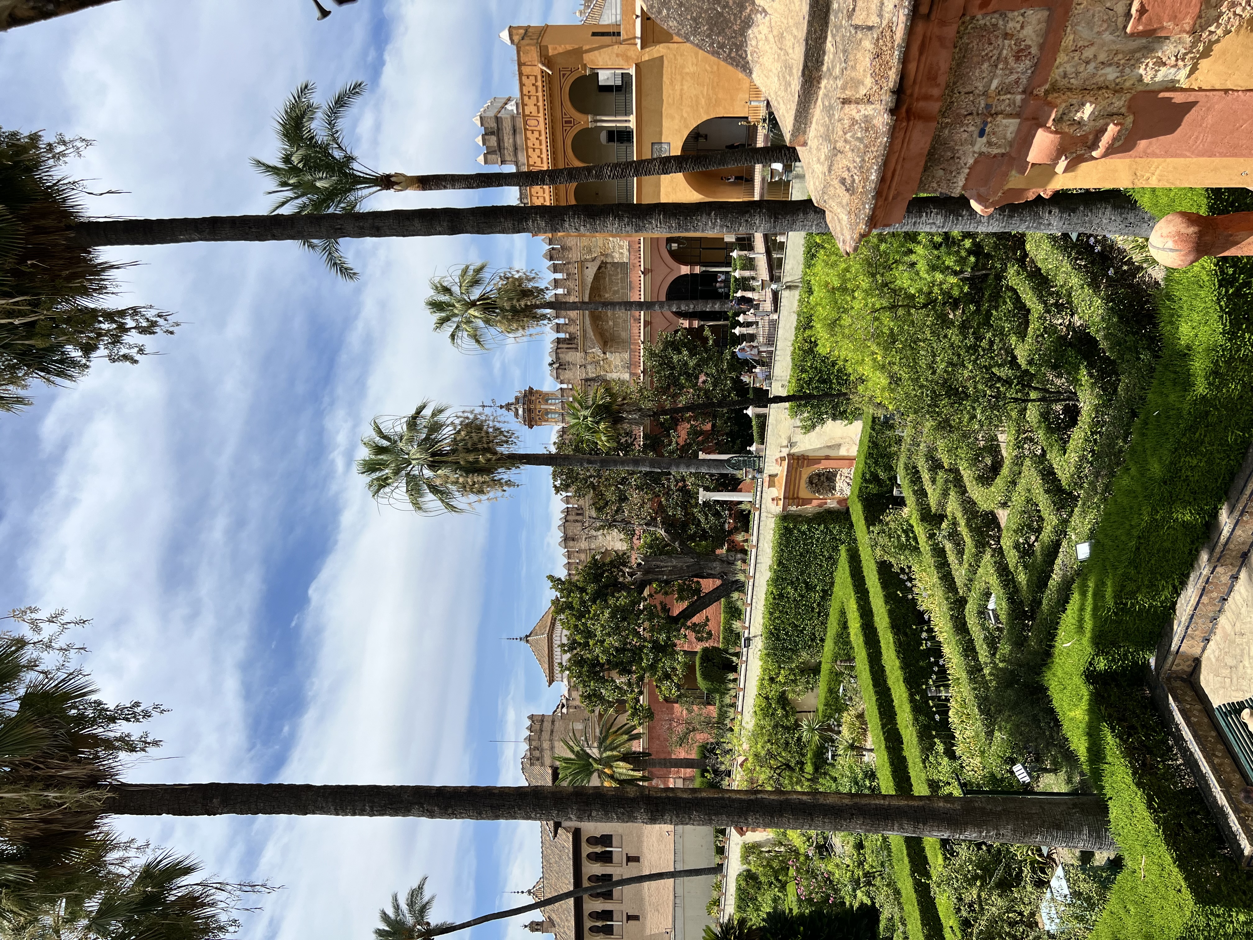 IMG_9656.jpeg