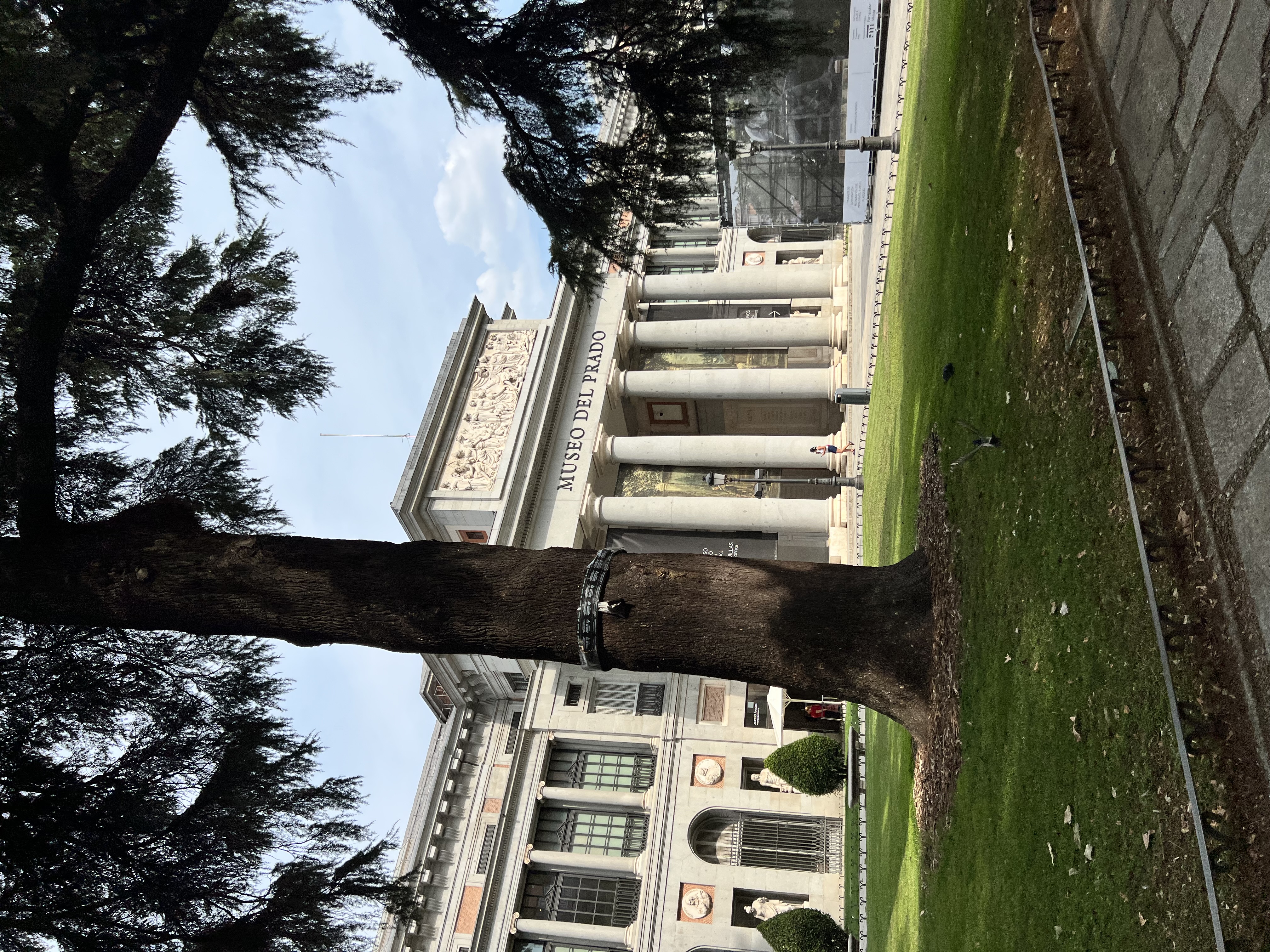 IMG_3914.jpeg