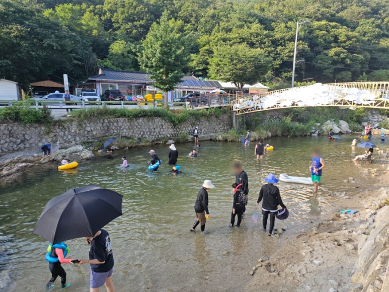 SE-d6896d4b-705f-11f0-b373-13155894e0df.jpg