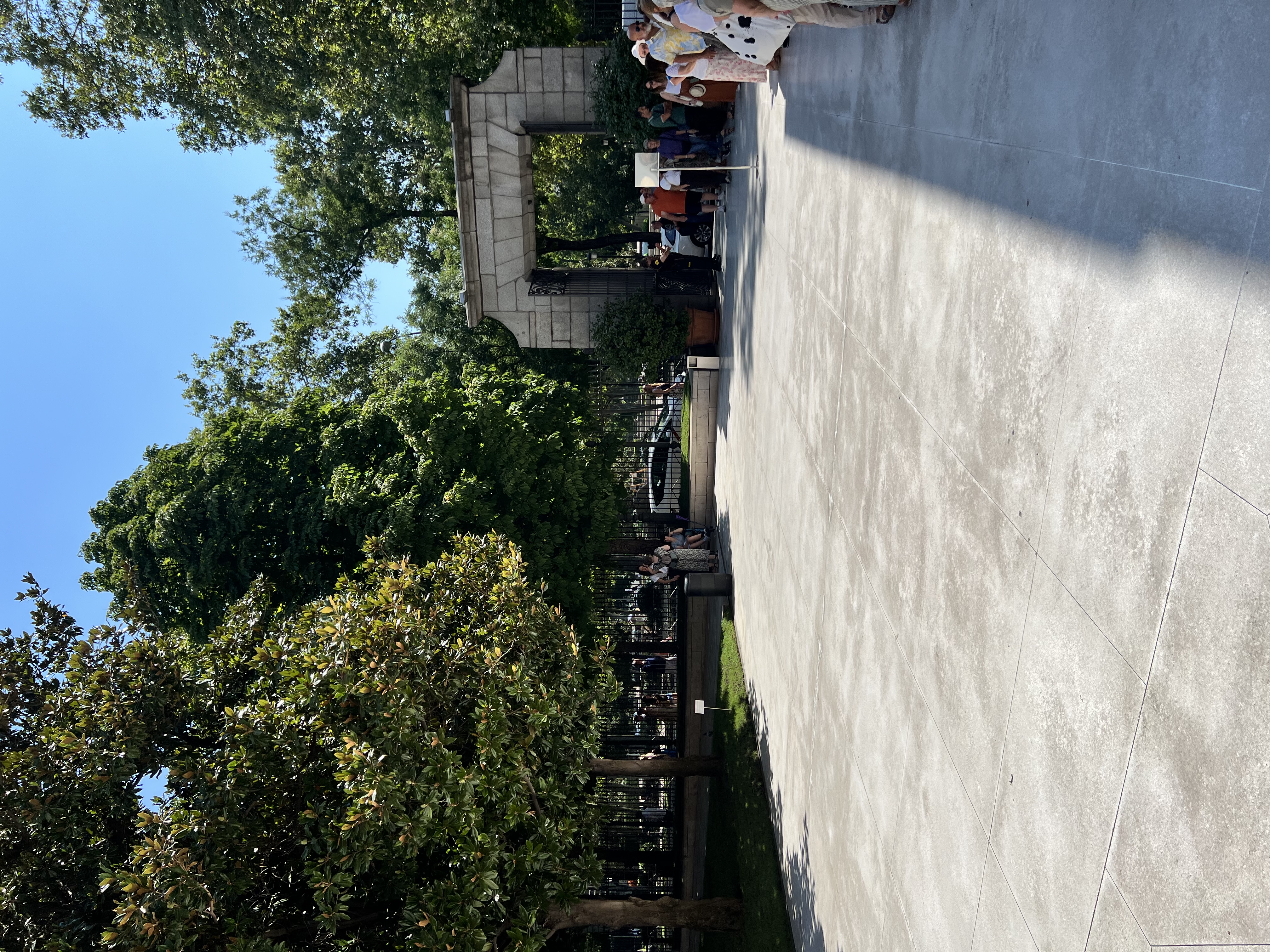 IMG_4533.jpeg