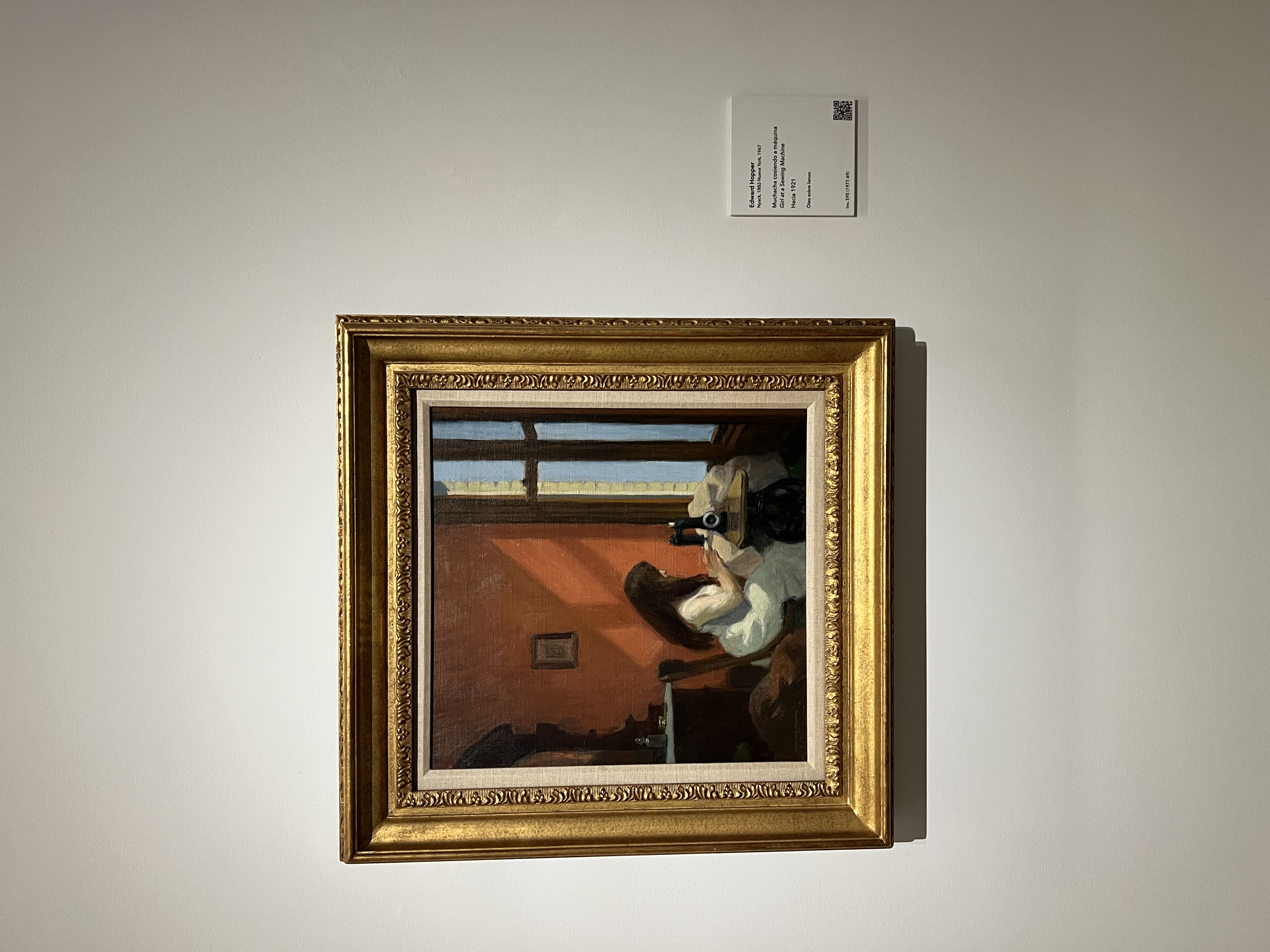 IMG_5280.jpeg