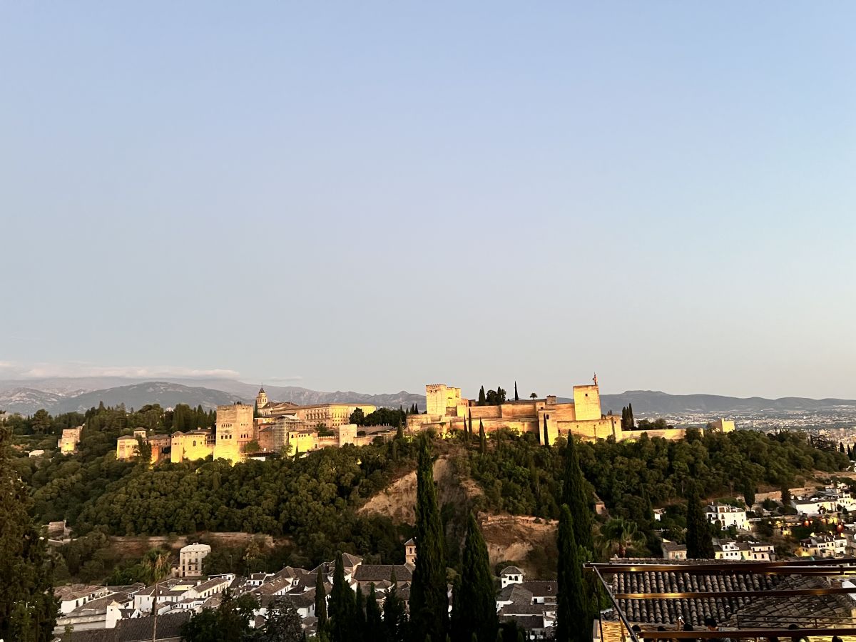 IMG_0913.jpeg