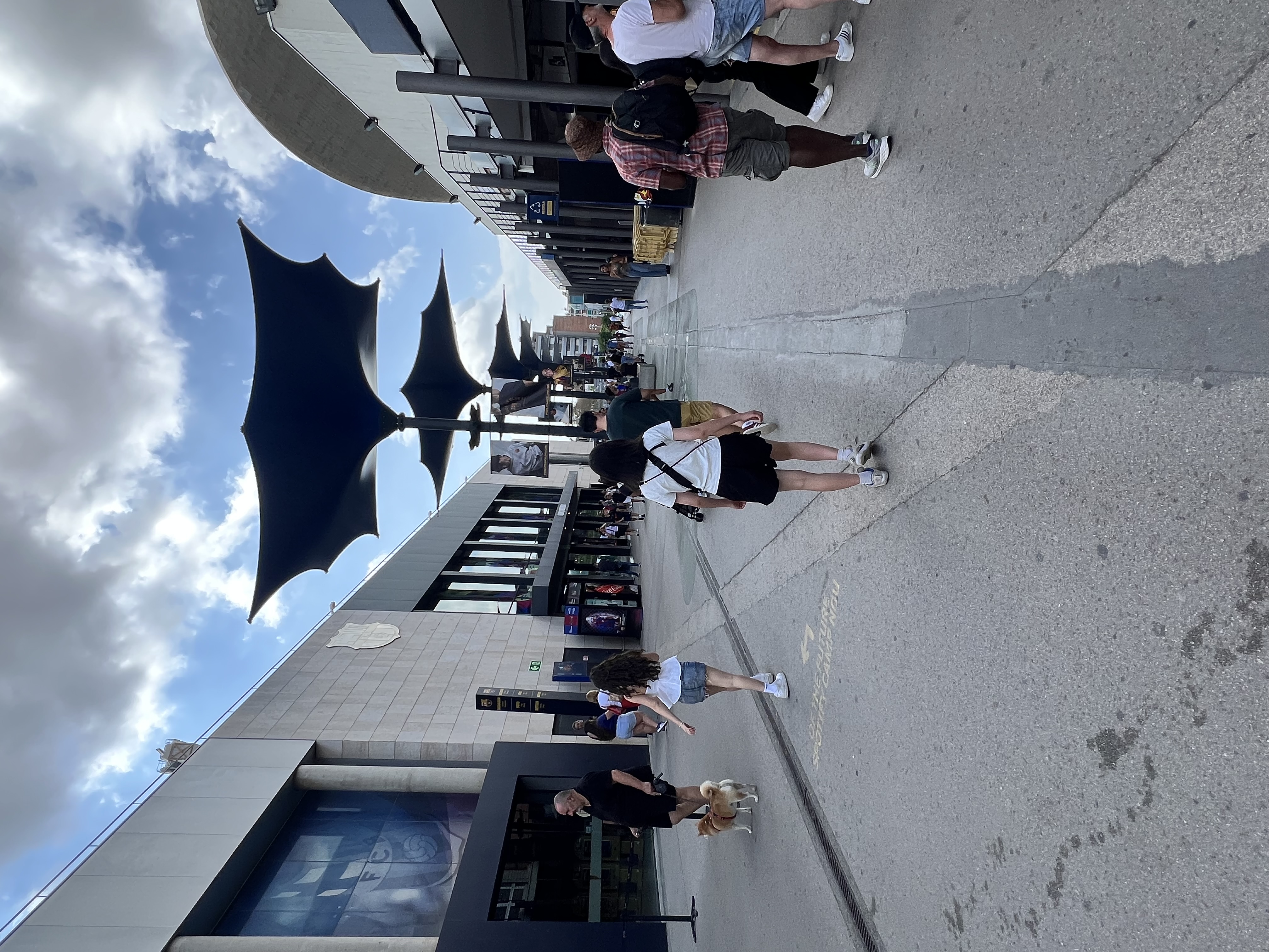 IMG_2045.jpeg